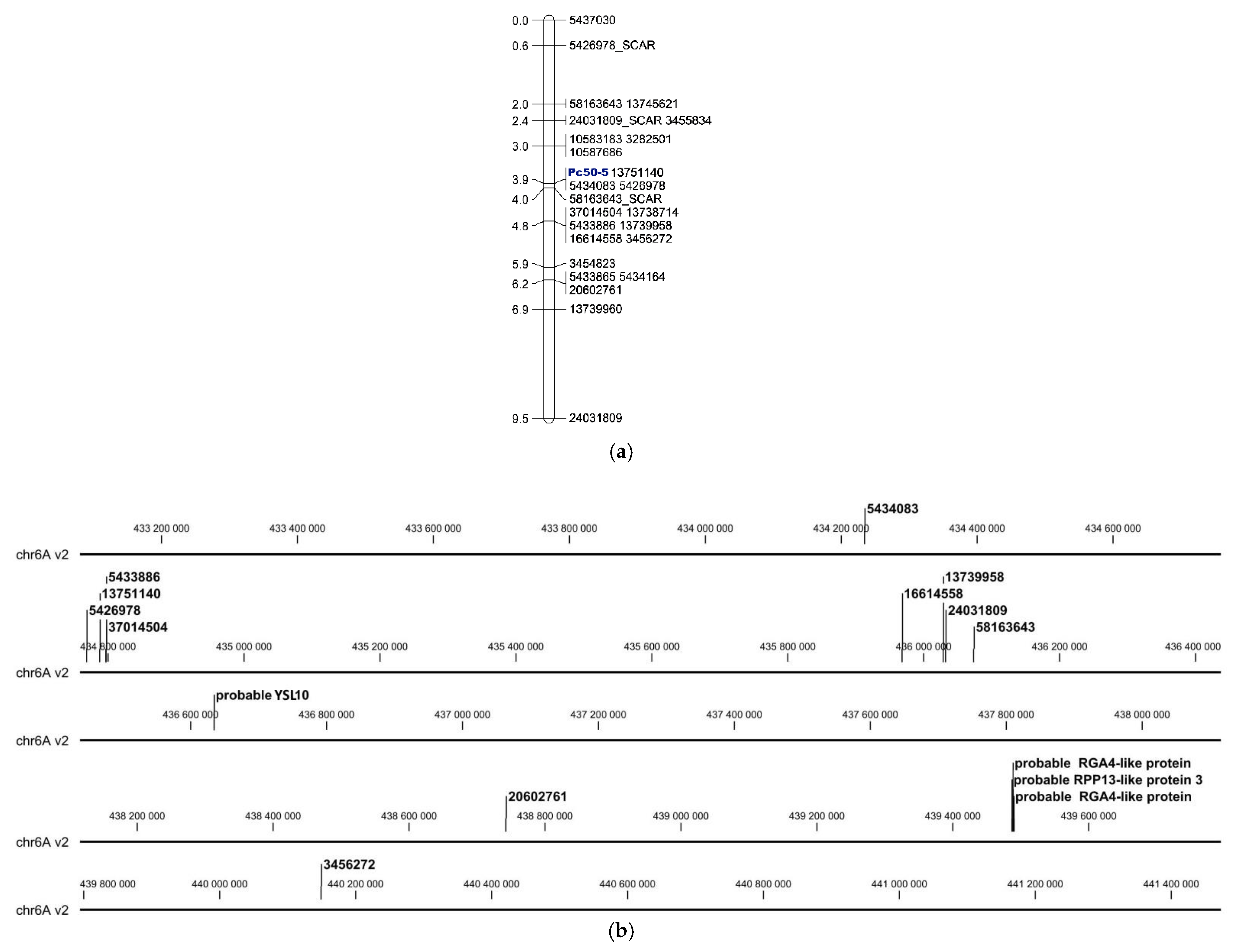 Ijms 22 11183 g002 550