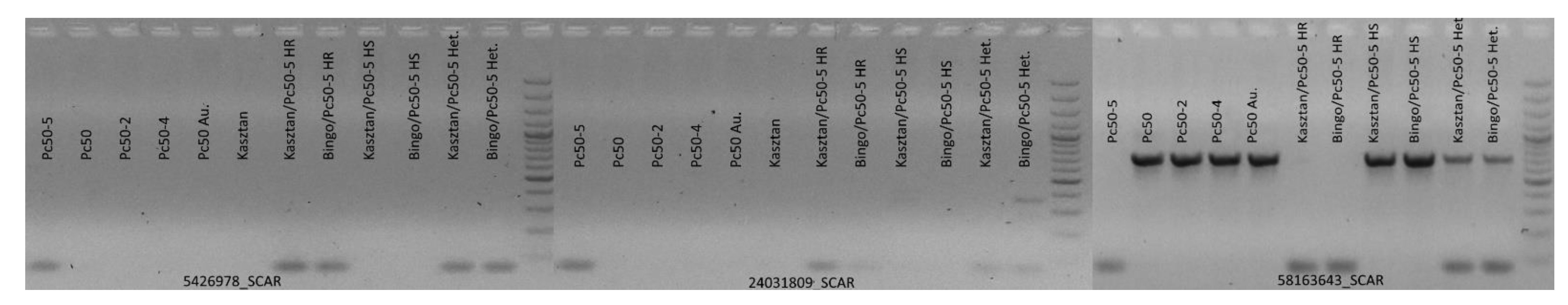 Ijms 22 11183 g003 550