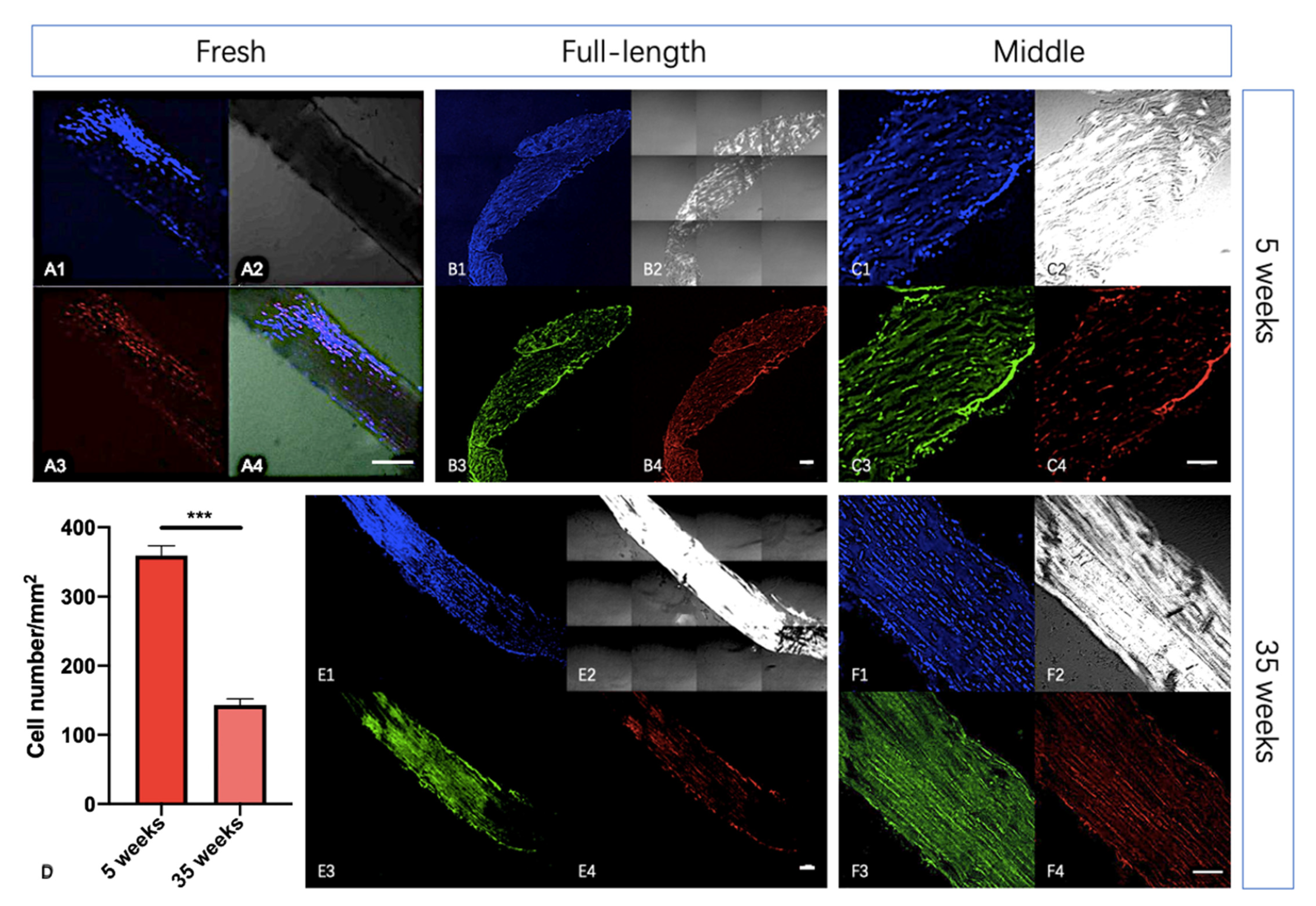 Ijms 22 11189 g004 550
