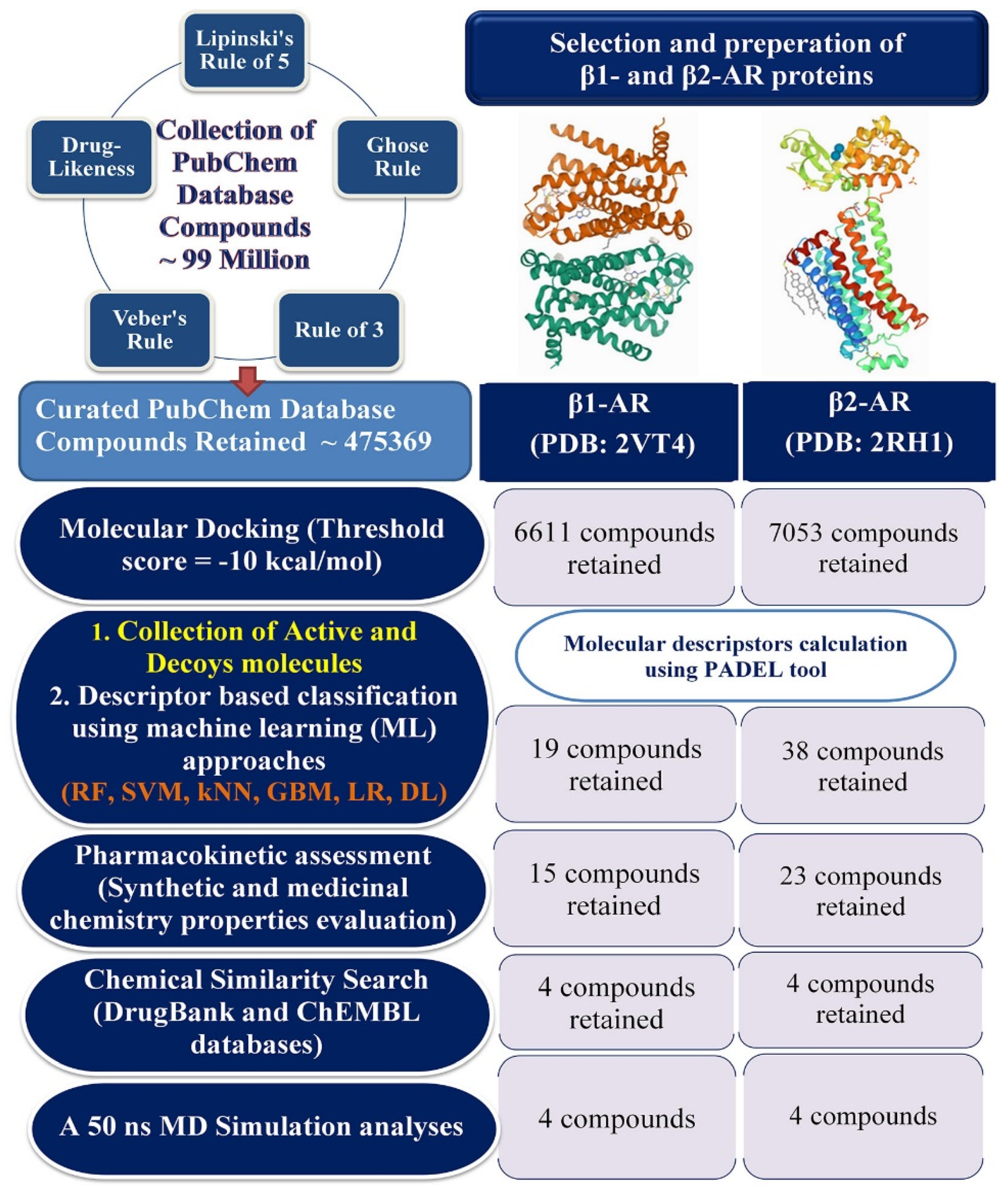 Ijms Free Full Text Screening Of B1 And B2 Adrenergic Receptor Modulators Through Advanced Pharmacoinformatics And Machine Learning Approaches Html