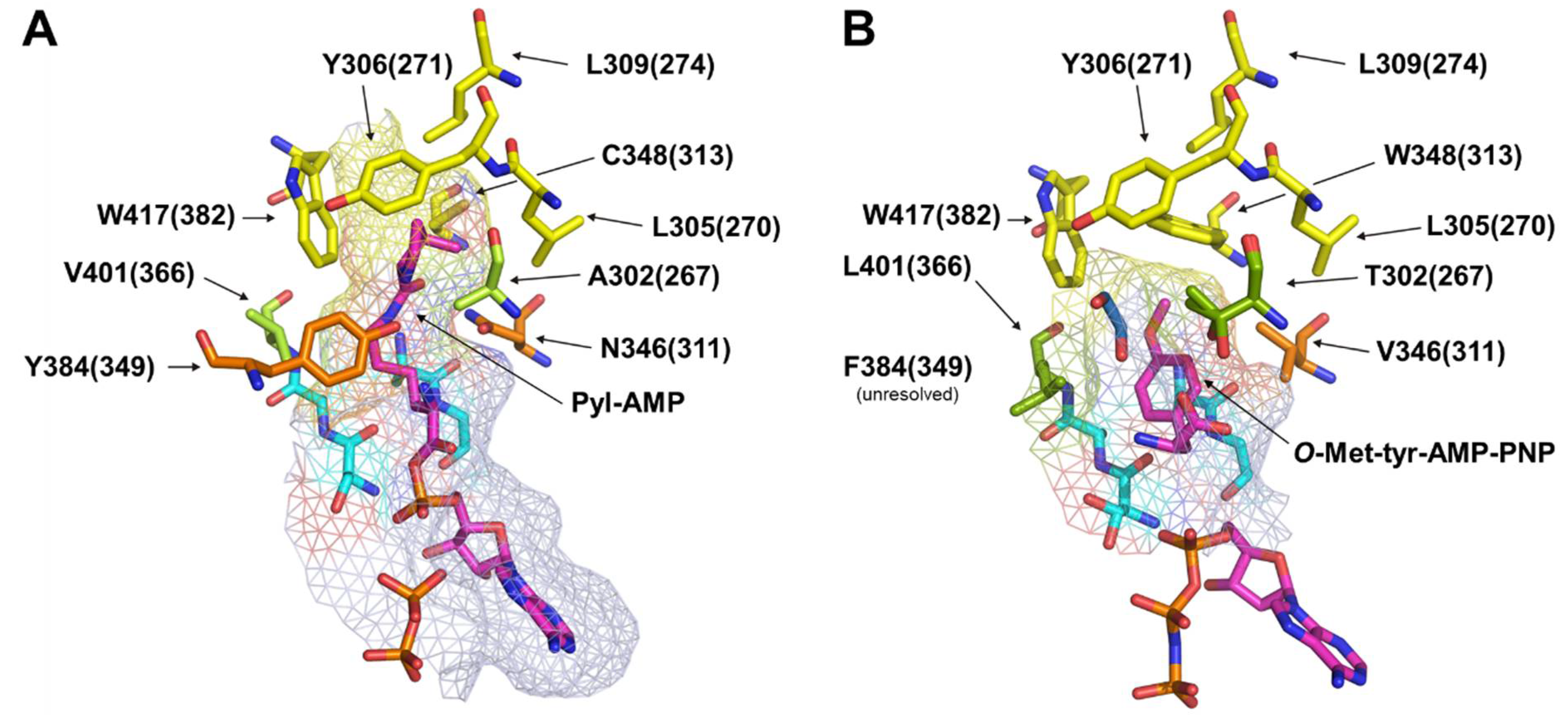 Ijms 22 11194 g002 550