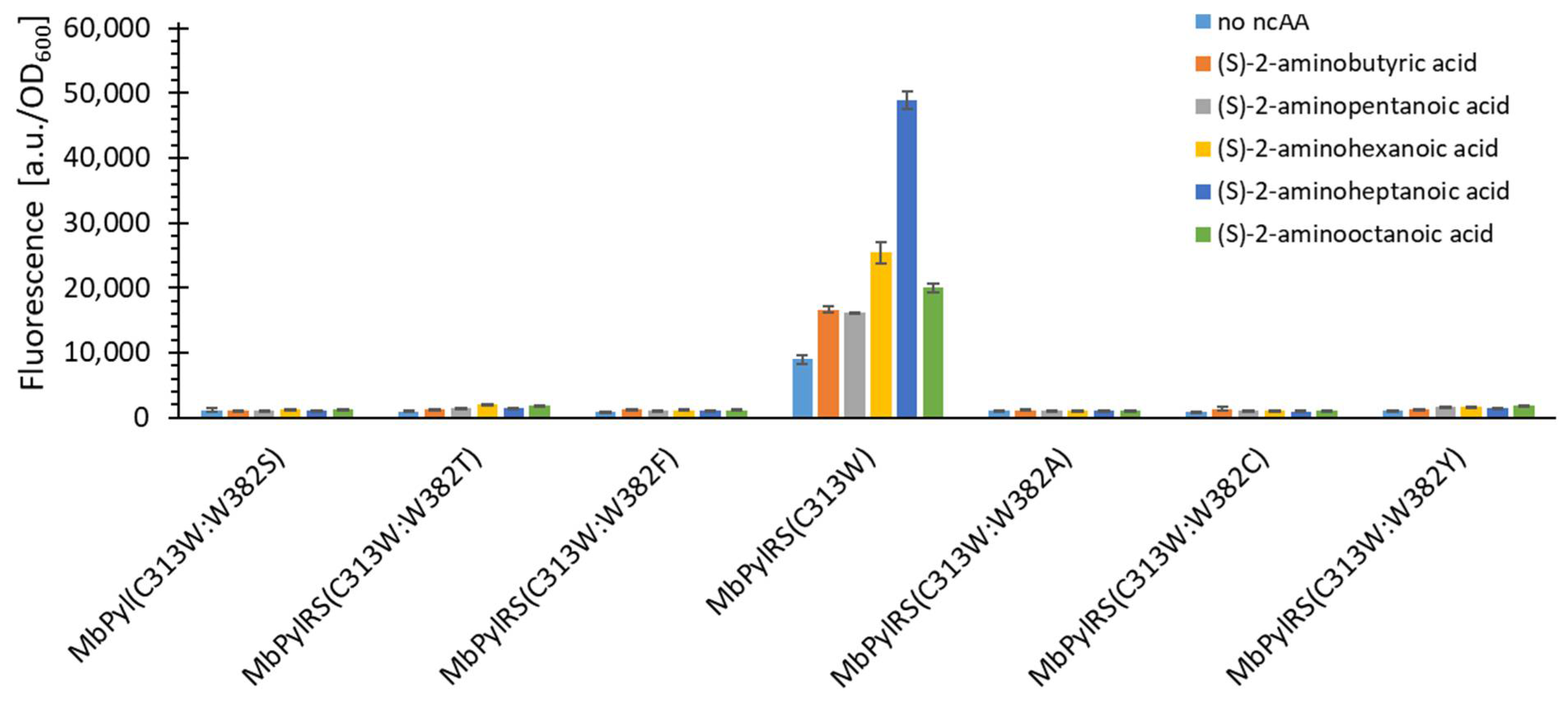 Ijms 22 11194 g004 550