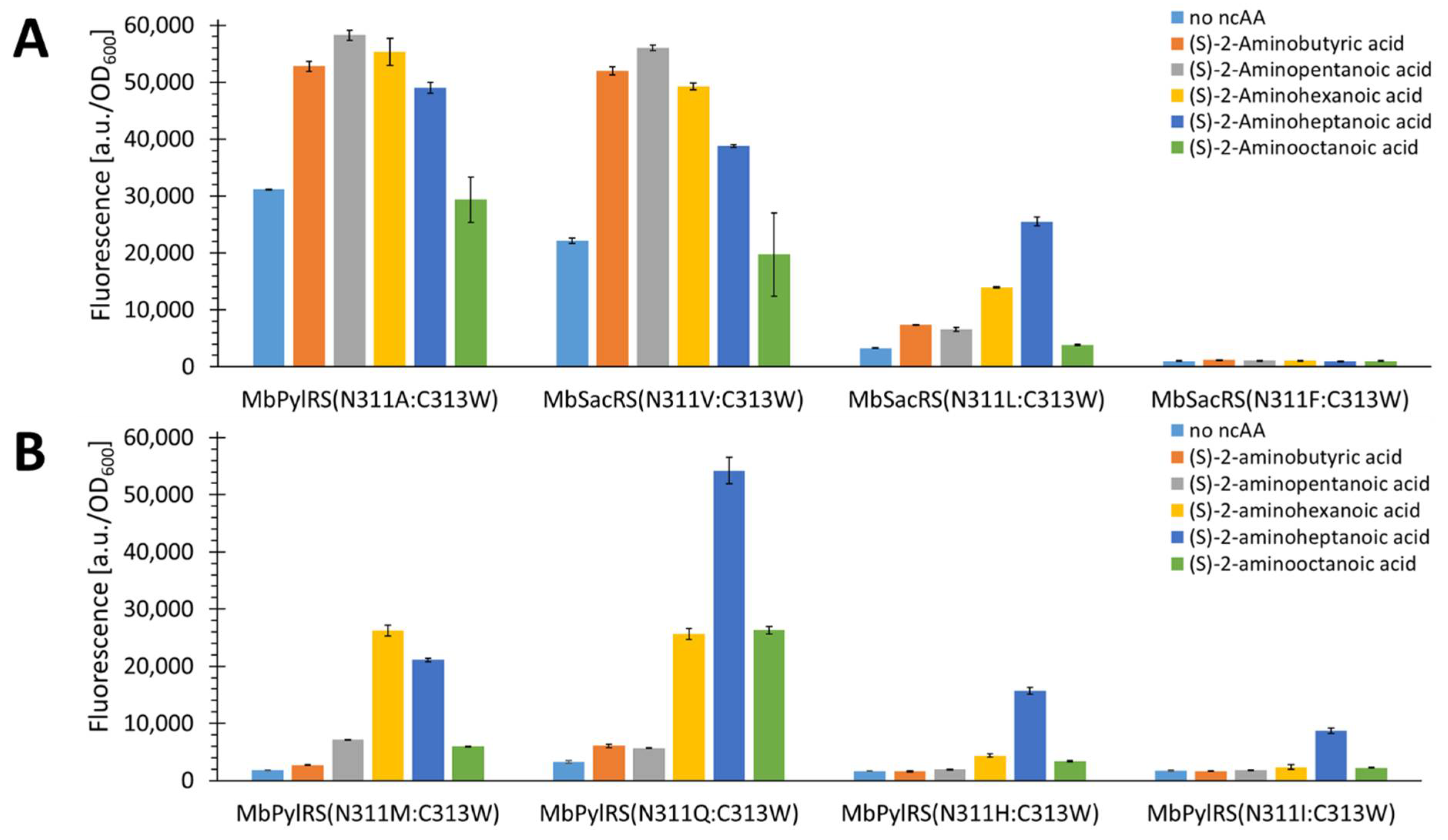 Ijms 22 11194 g005 550