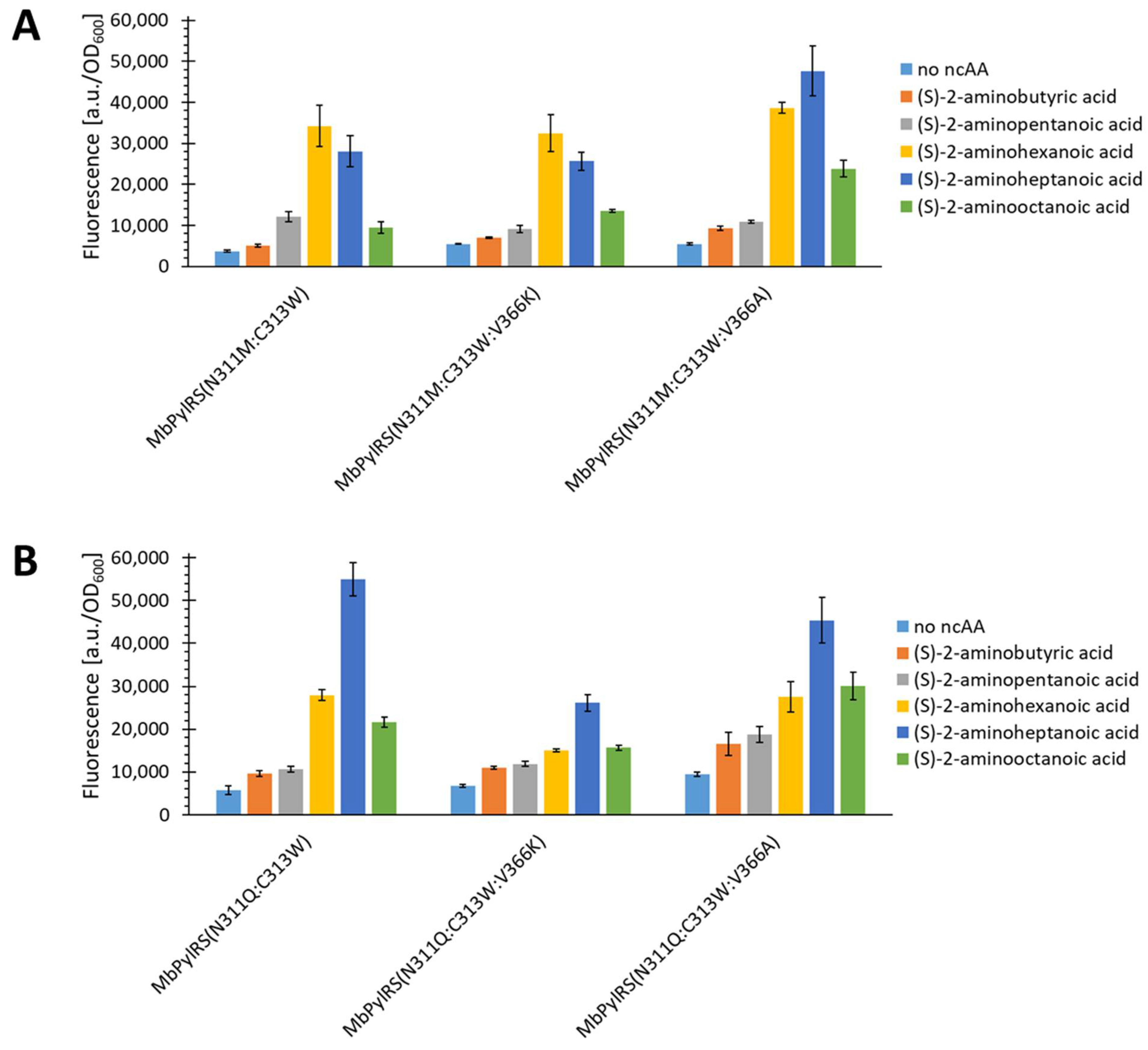 Ijms 22 11194 g006 550