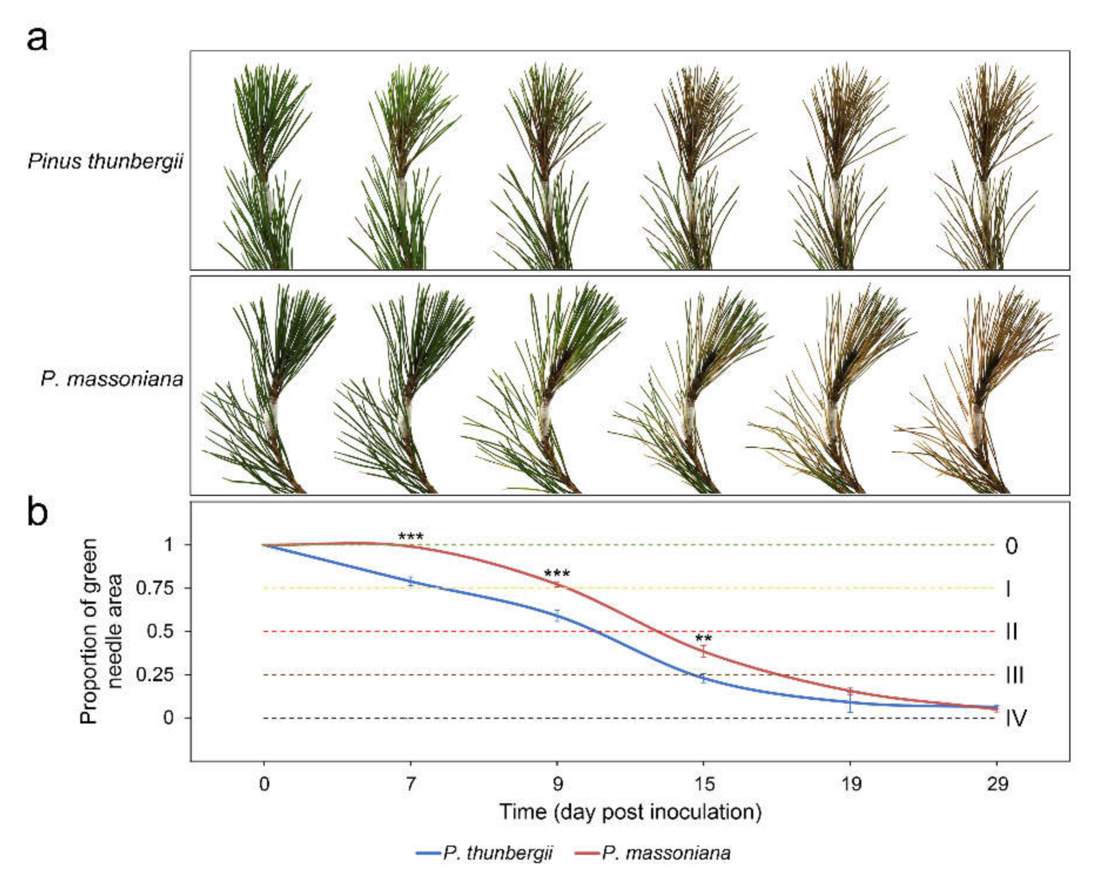 Ijms 22 11195 g001 Ijms 22 11195 g001