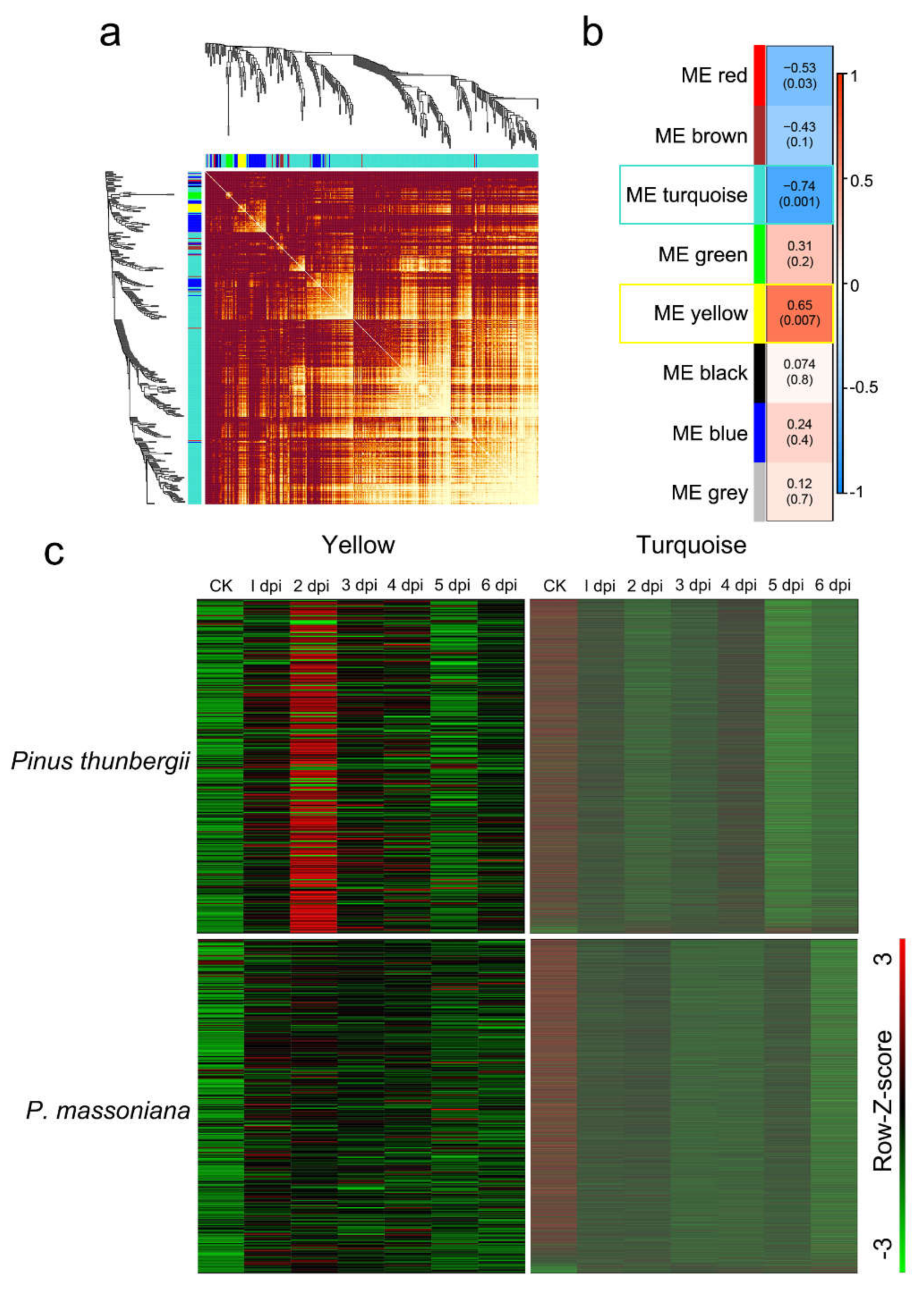 Ijms 22 11195 g003 Ijms 22 11195 g003