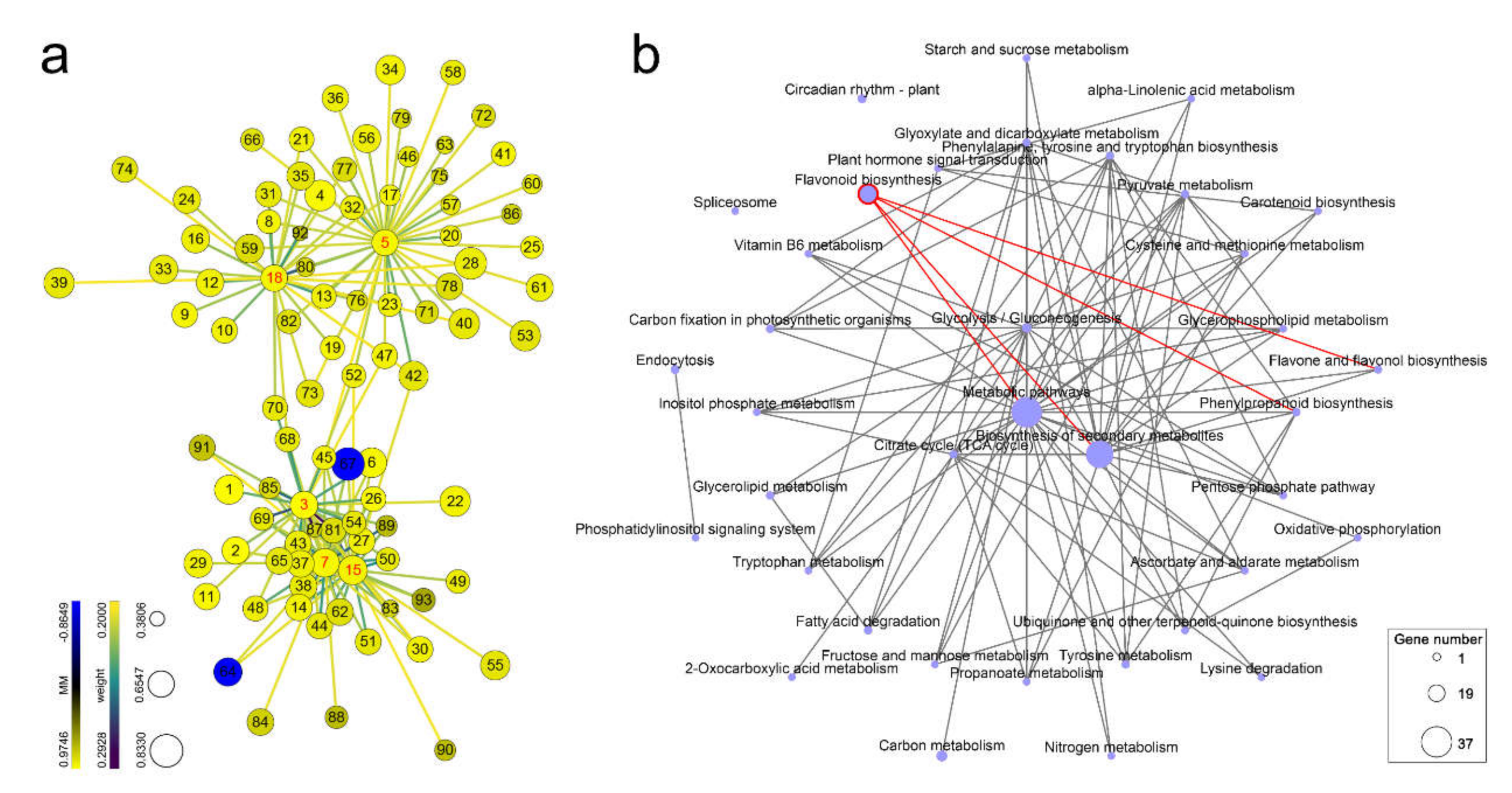 Ijms 22 11195 g007 Ijms 22 11195 g007
