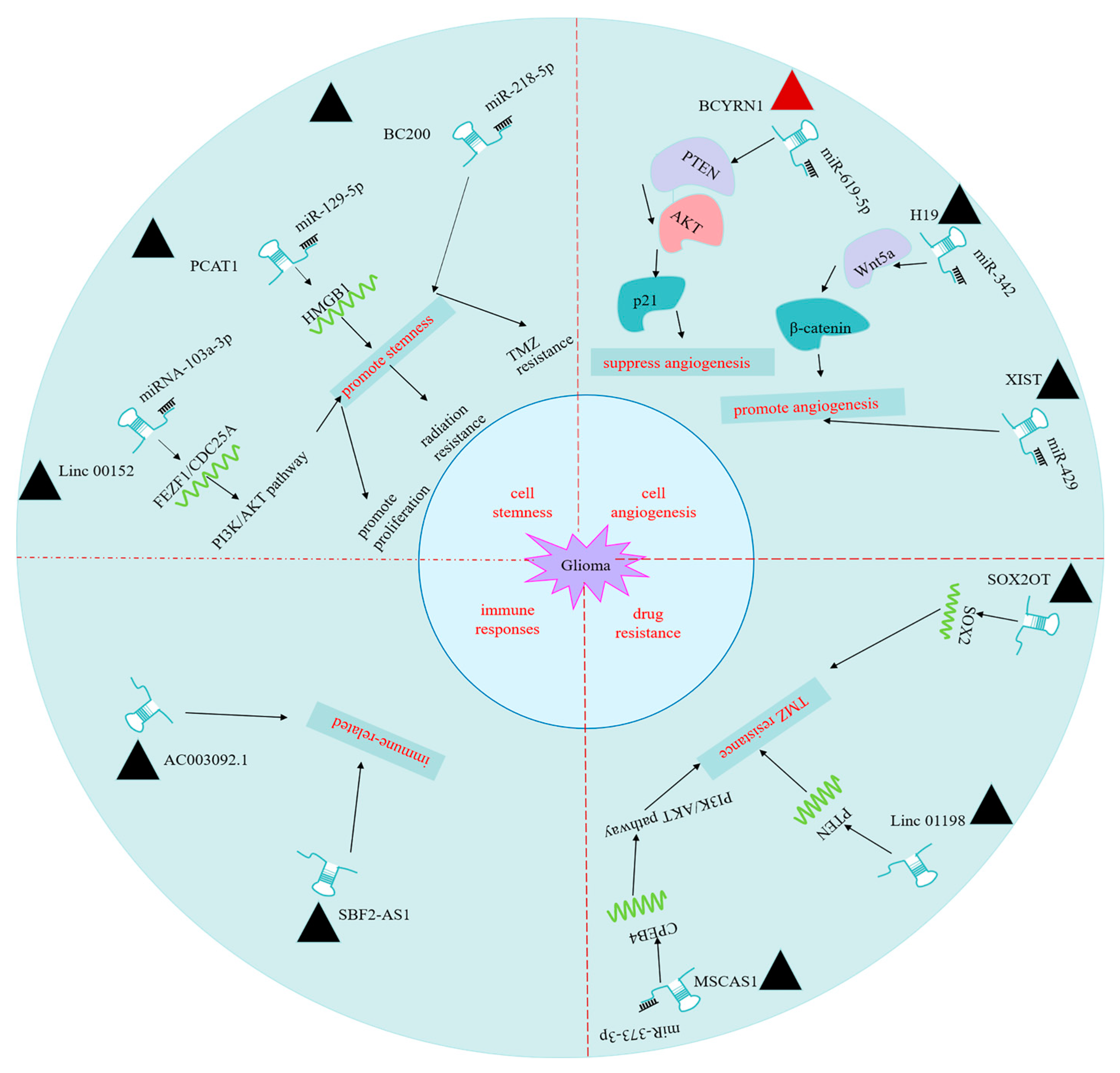 Ijms 22 11197 g003 Ijms 22 11197 g003