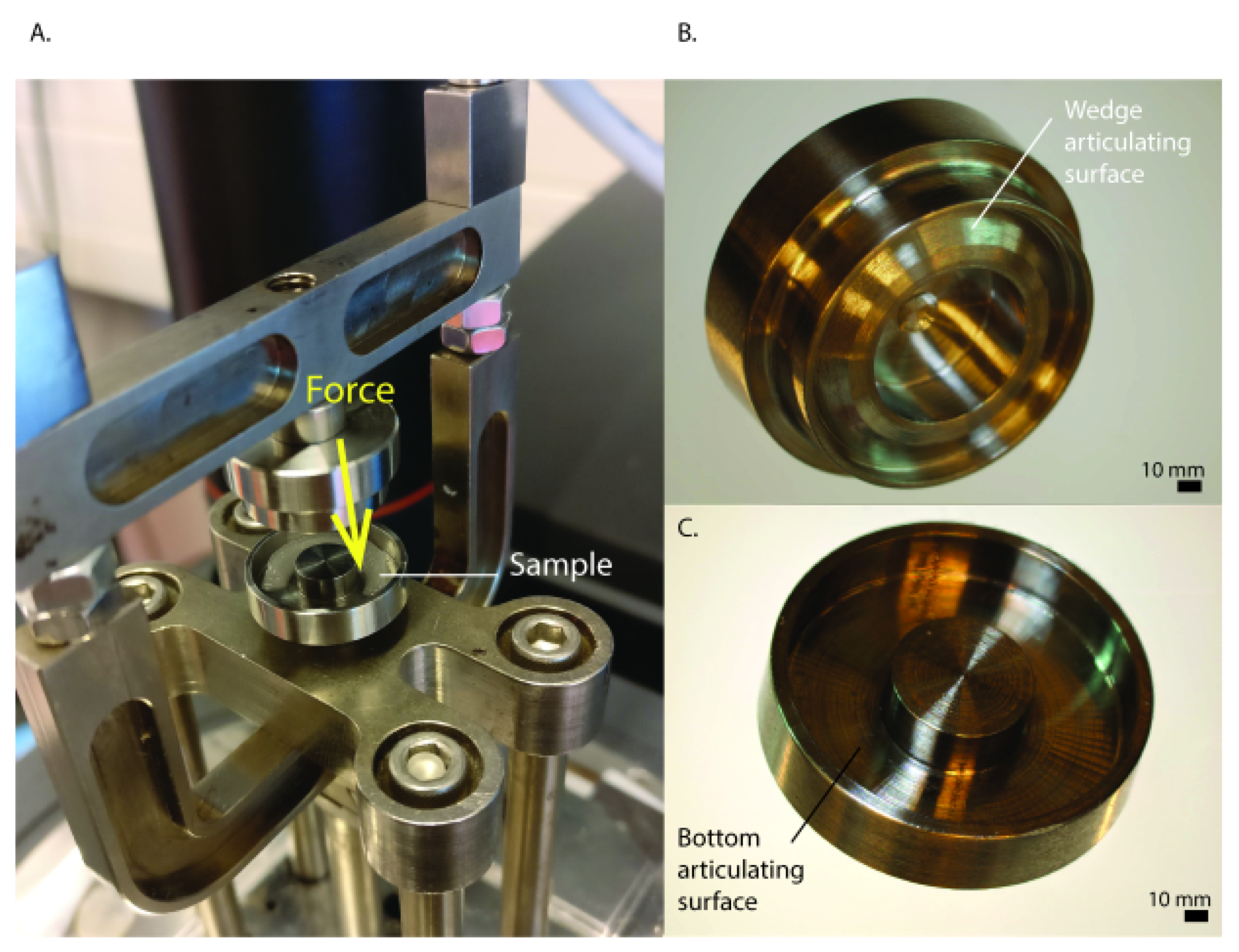 Ijms 22 11200 g0a1 550