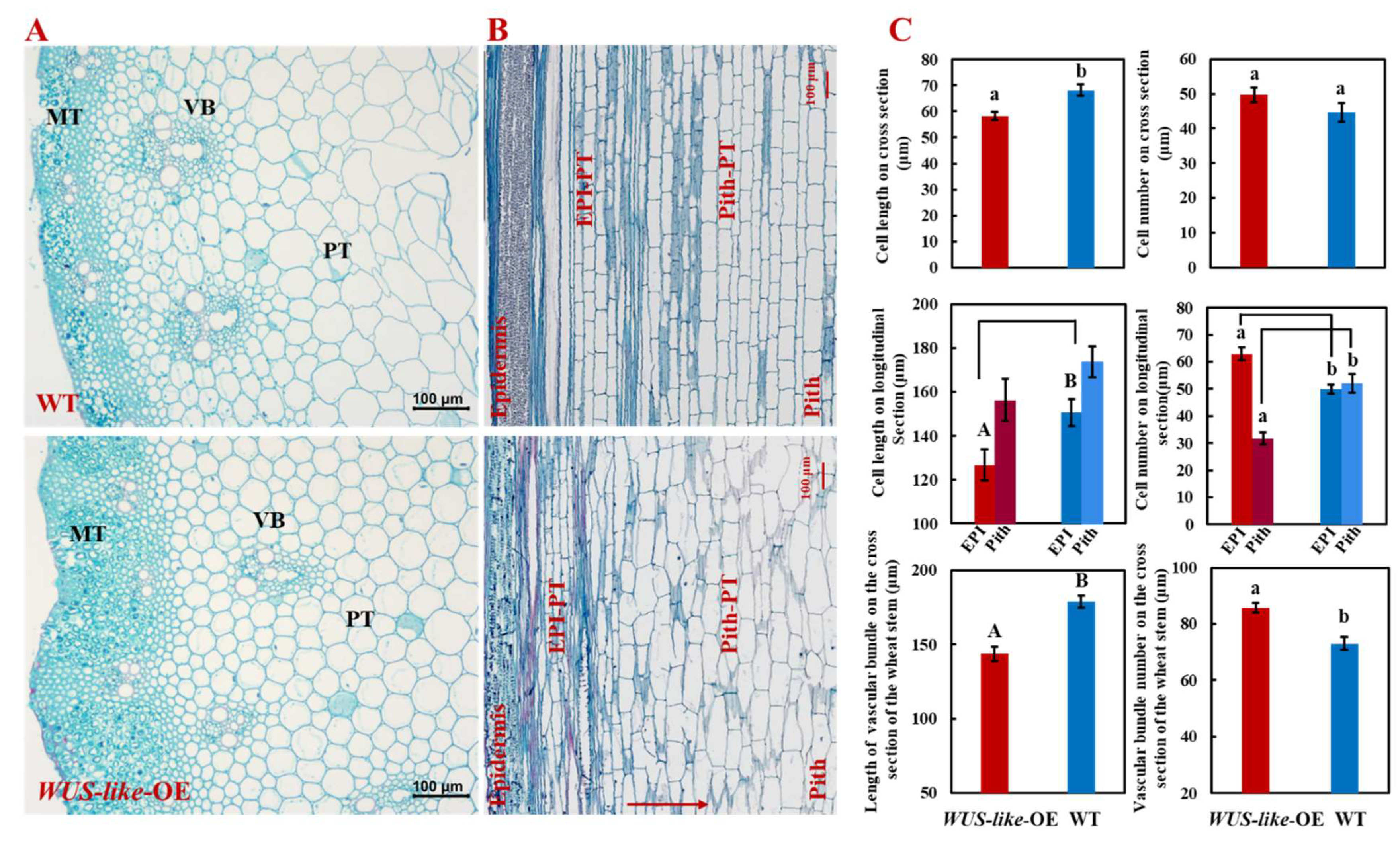 Ijms 22 11210 g002 550
