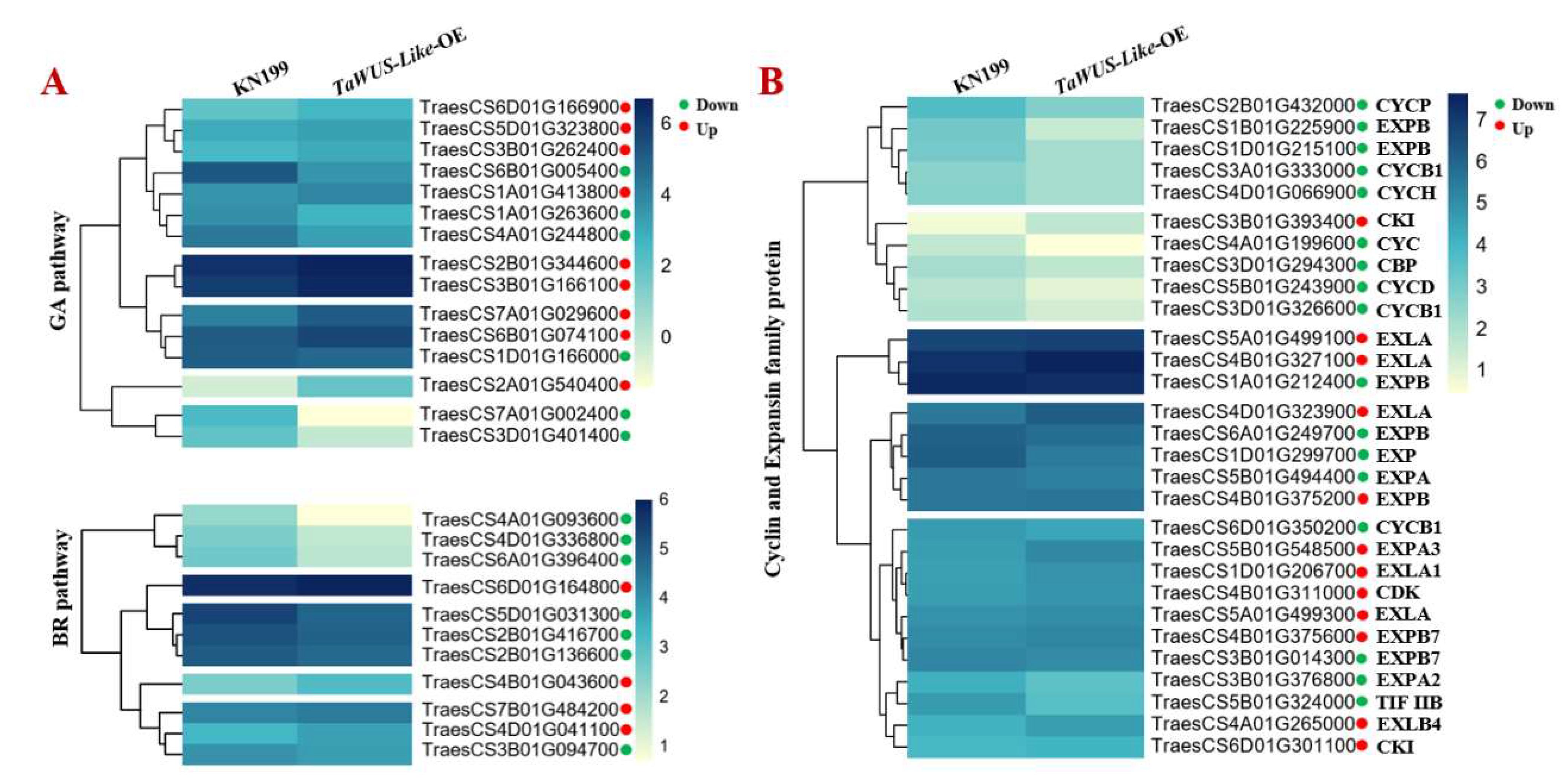 Ijms 22 11210 g004 550