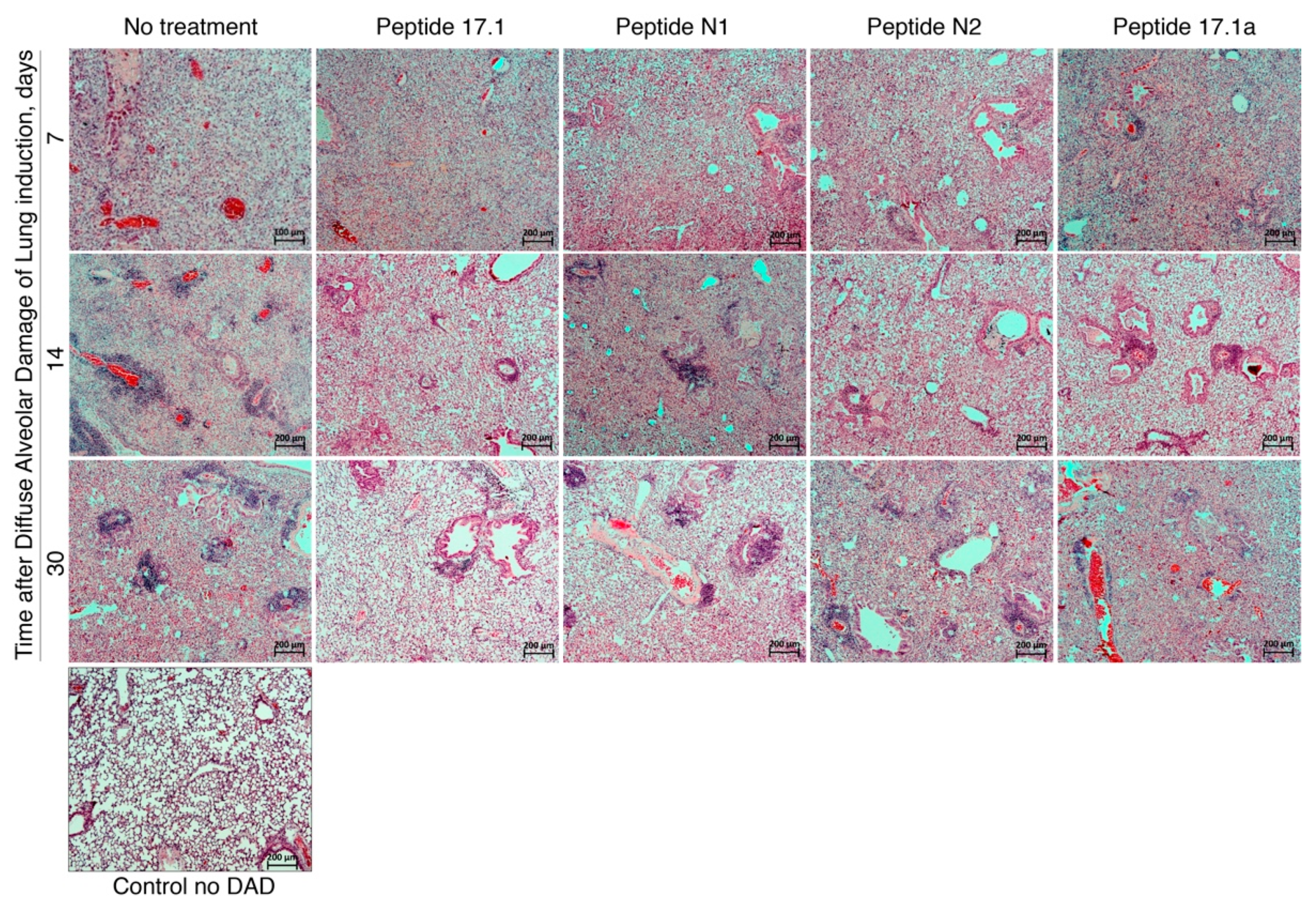 Ijms 22 11213 g007 550