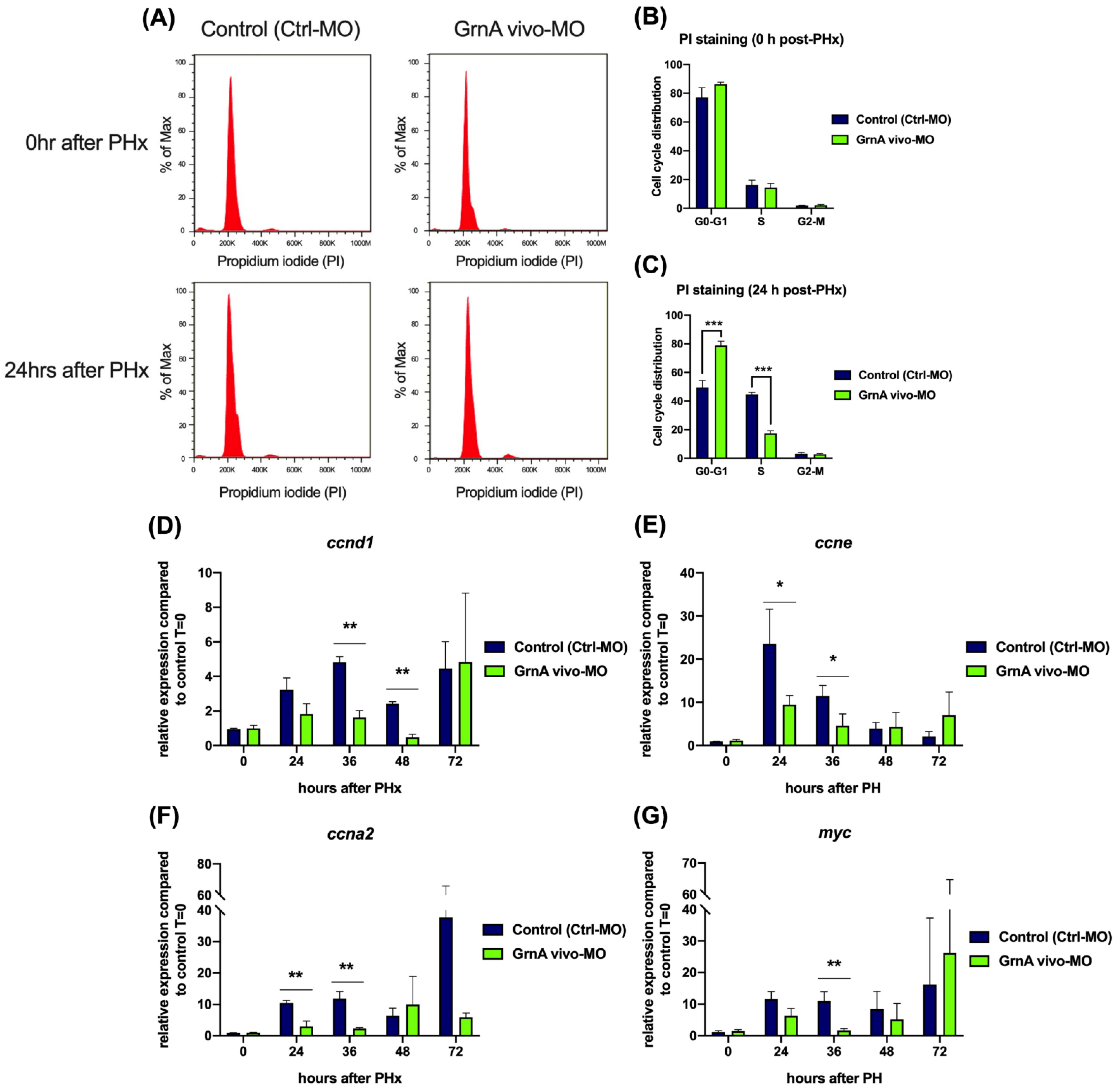 Ijms 22 11217 g004 550