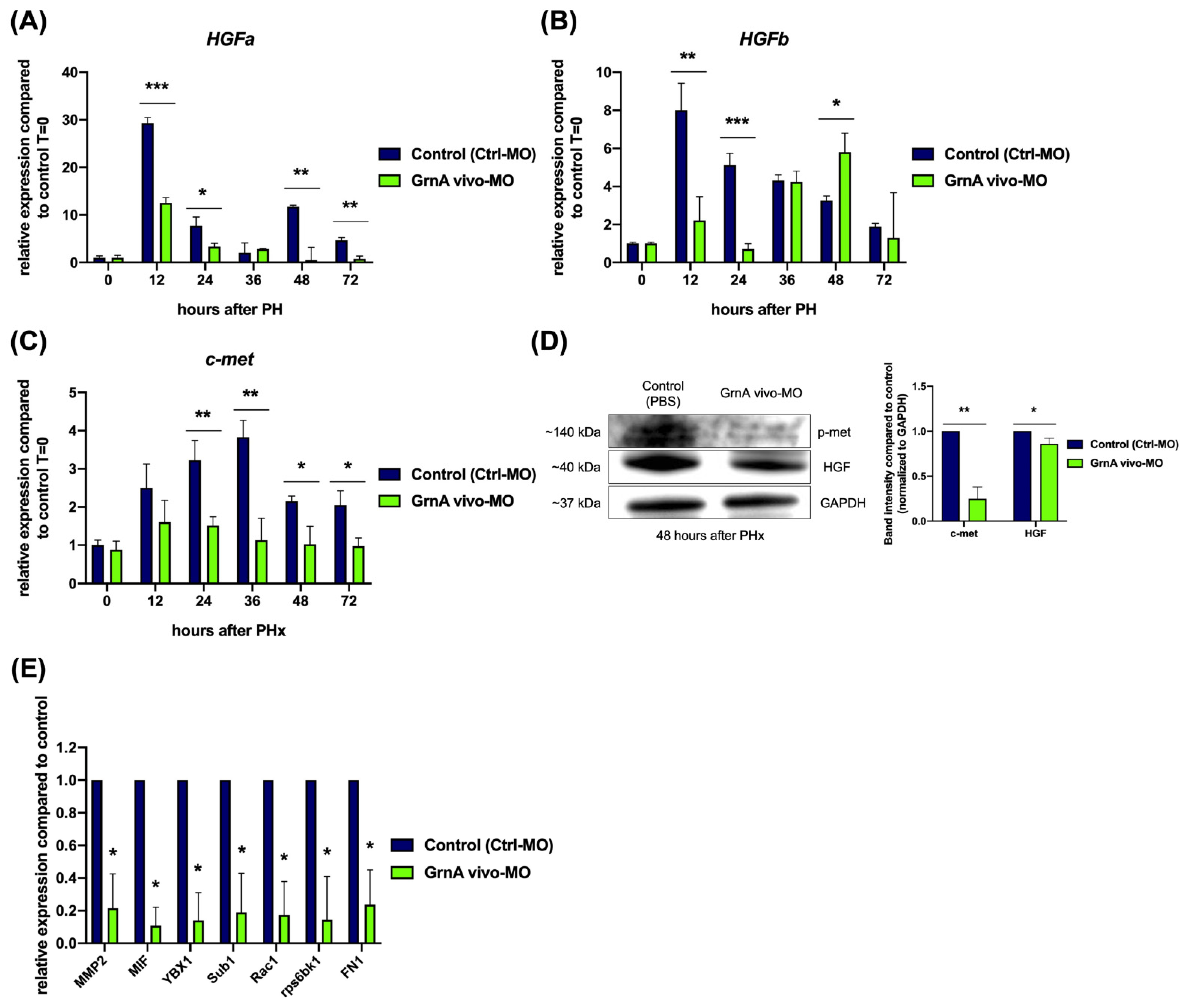 Ijms 22 11217 g005 550