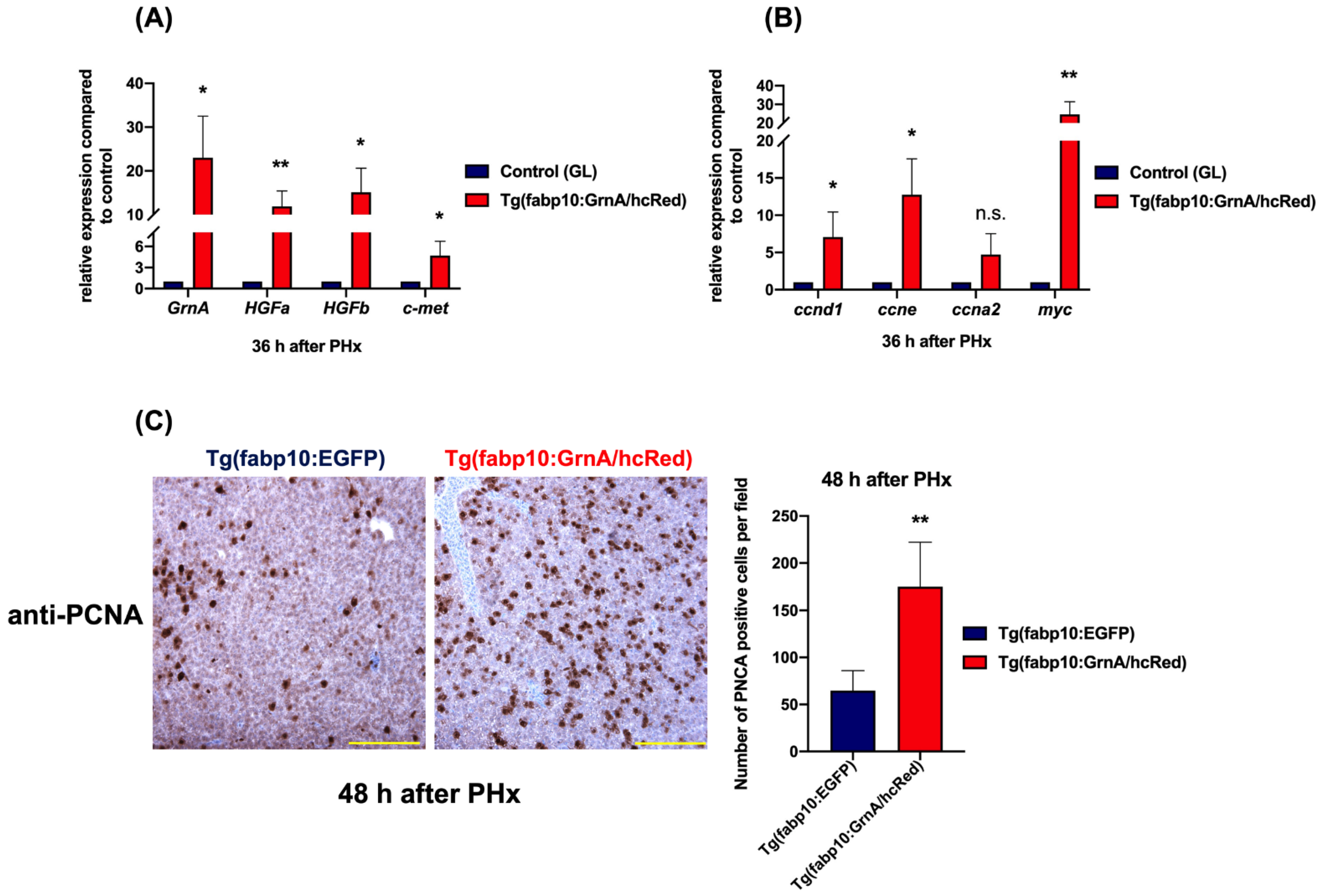 Ijms 22 11217 g006 550