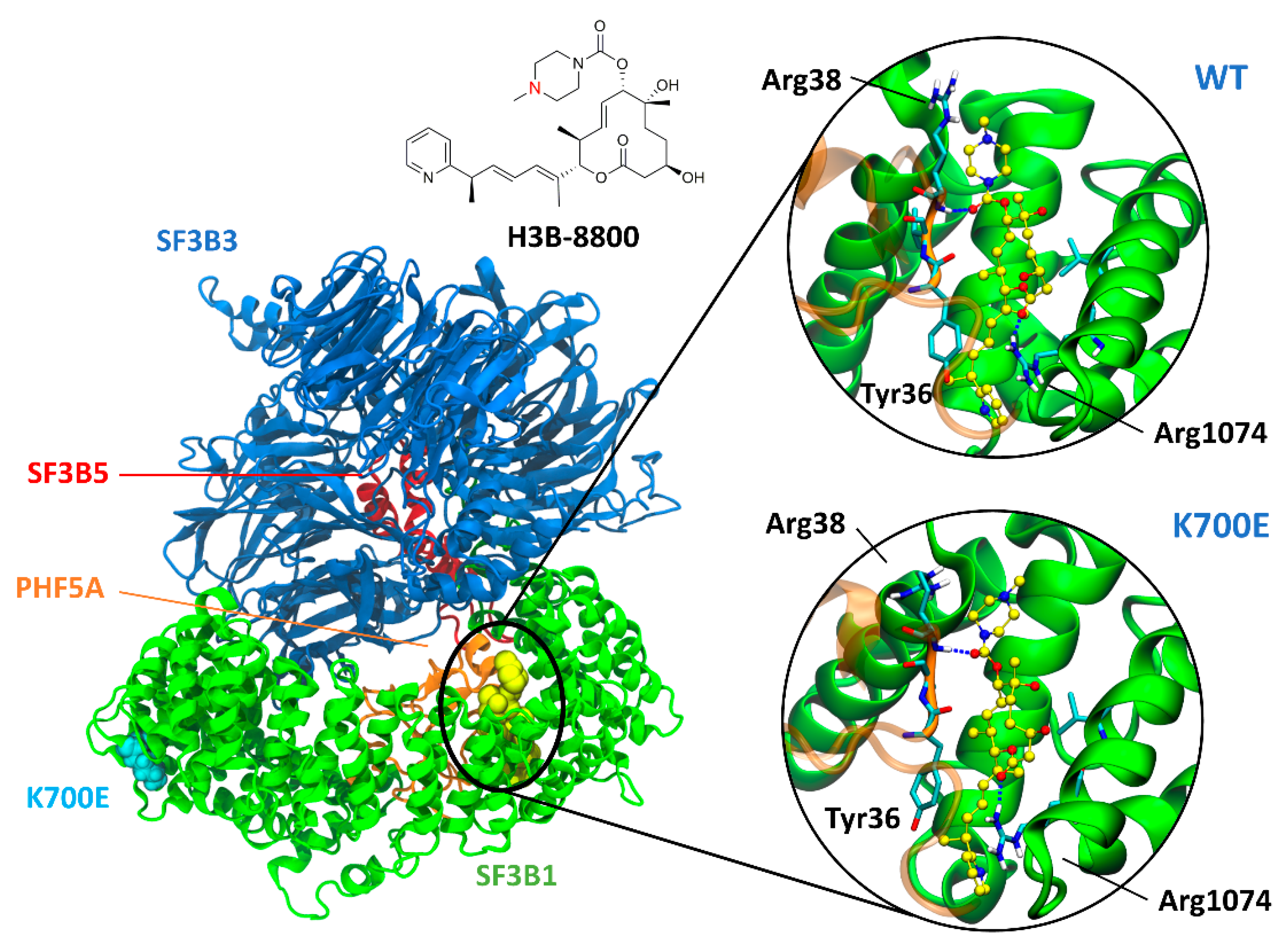 Ijms 22 11222 g001 550