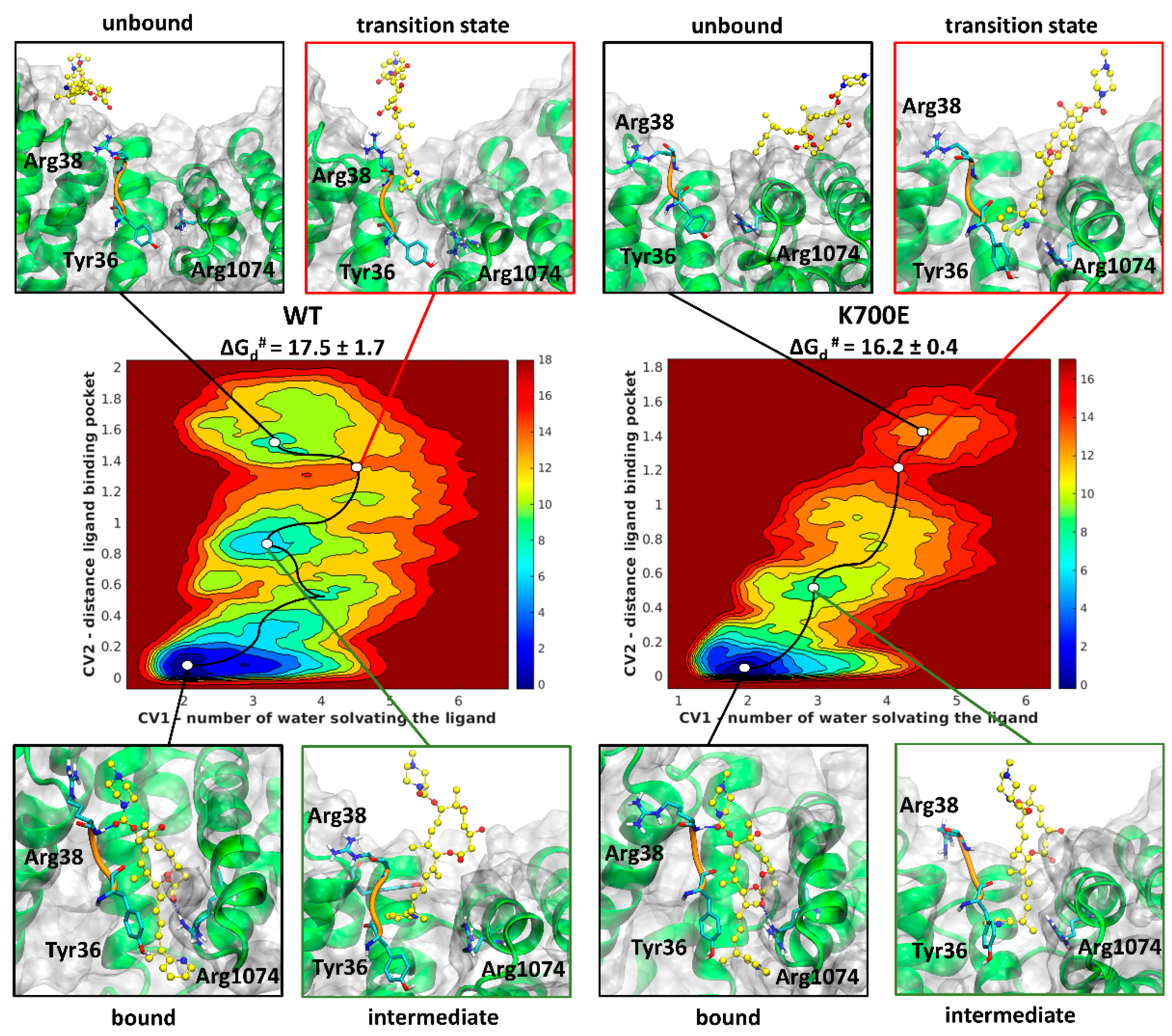 Ijms 22 11222 g002 550