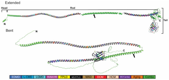 In Silico and In Vivo Analysis of Amino Acid Substitutions That