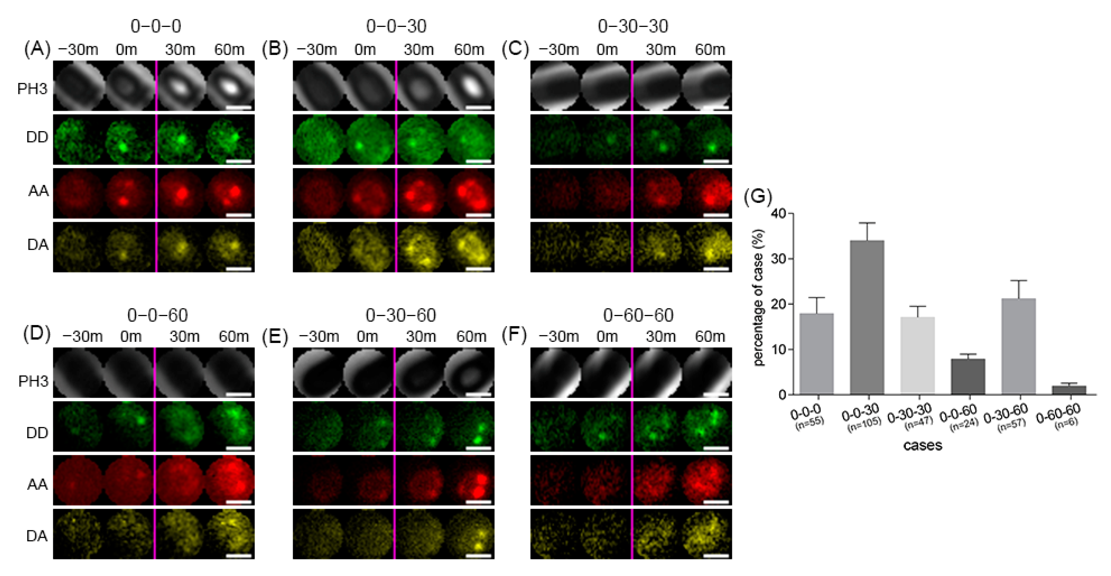 Ijms 22 11230 g007 Ijms 22 11230 g007