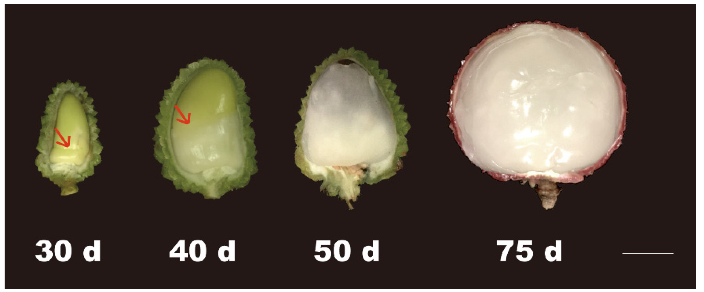 Ijms 22 11231 g001 550