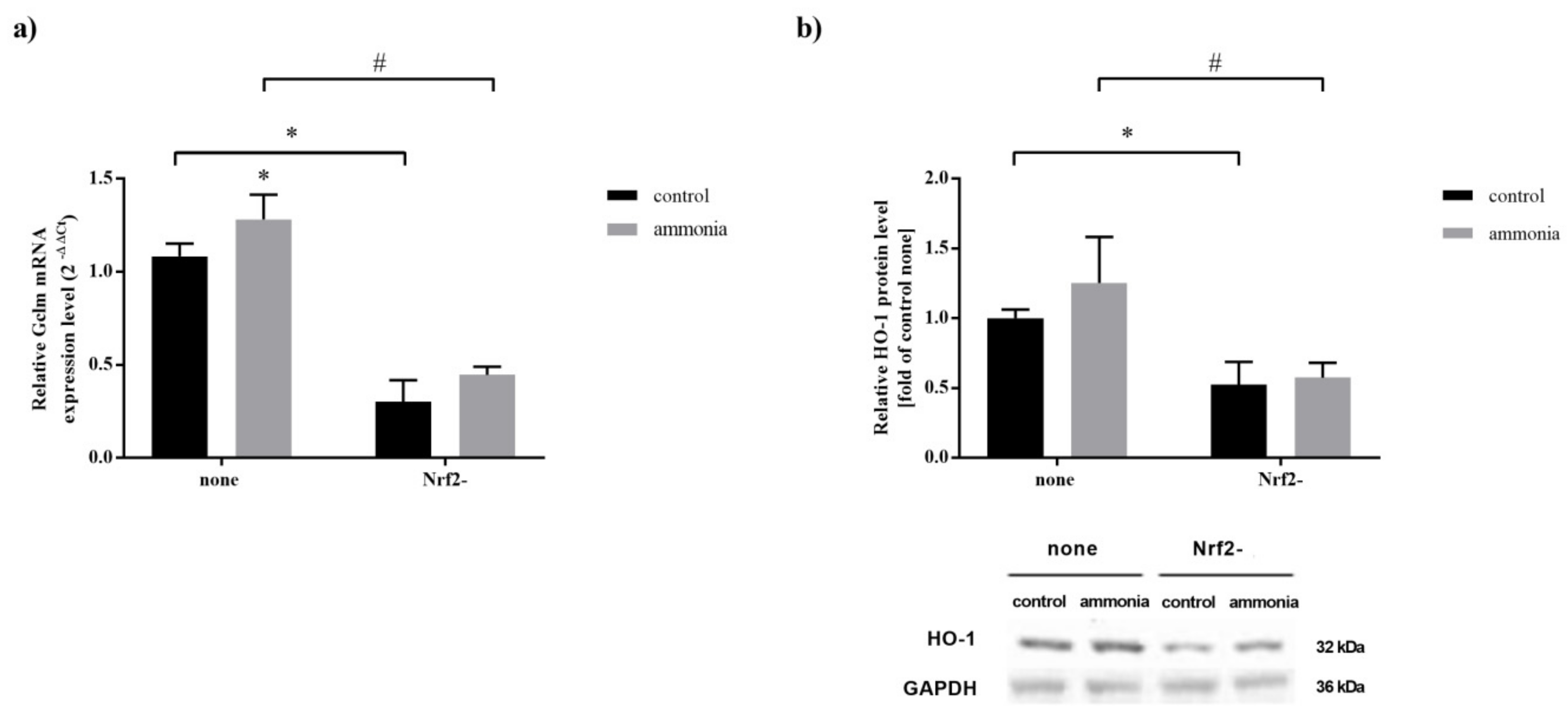 Ijms 22 11233 g004 Ijms 22 11233 g004