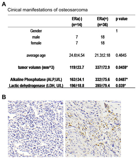 Suppression of Estrogen Receptor Alpha Inhibits Cell