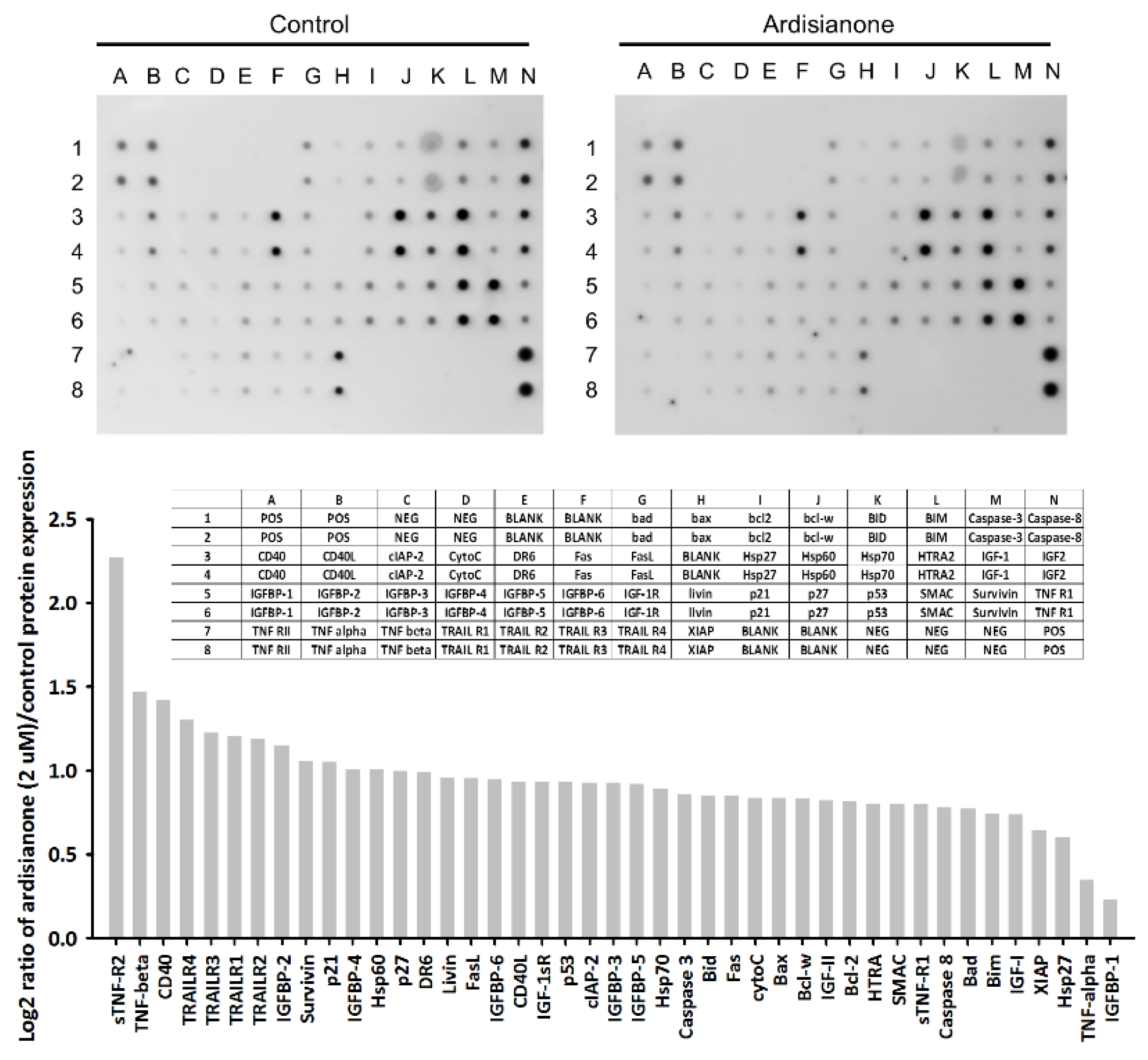 Ijms 22 11239 g002 Ijms 22 11239 g002