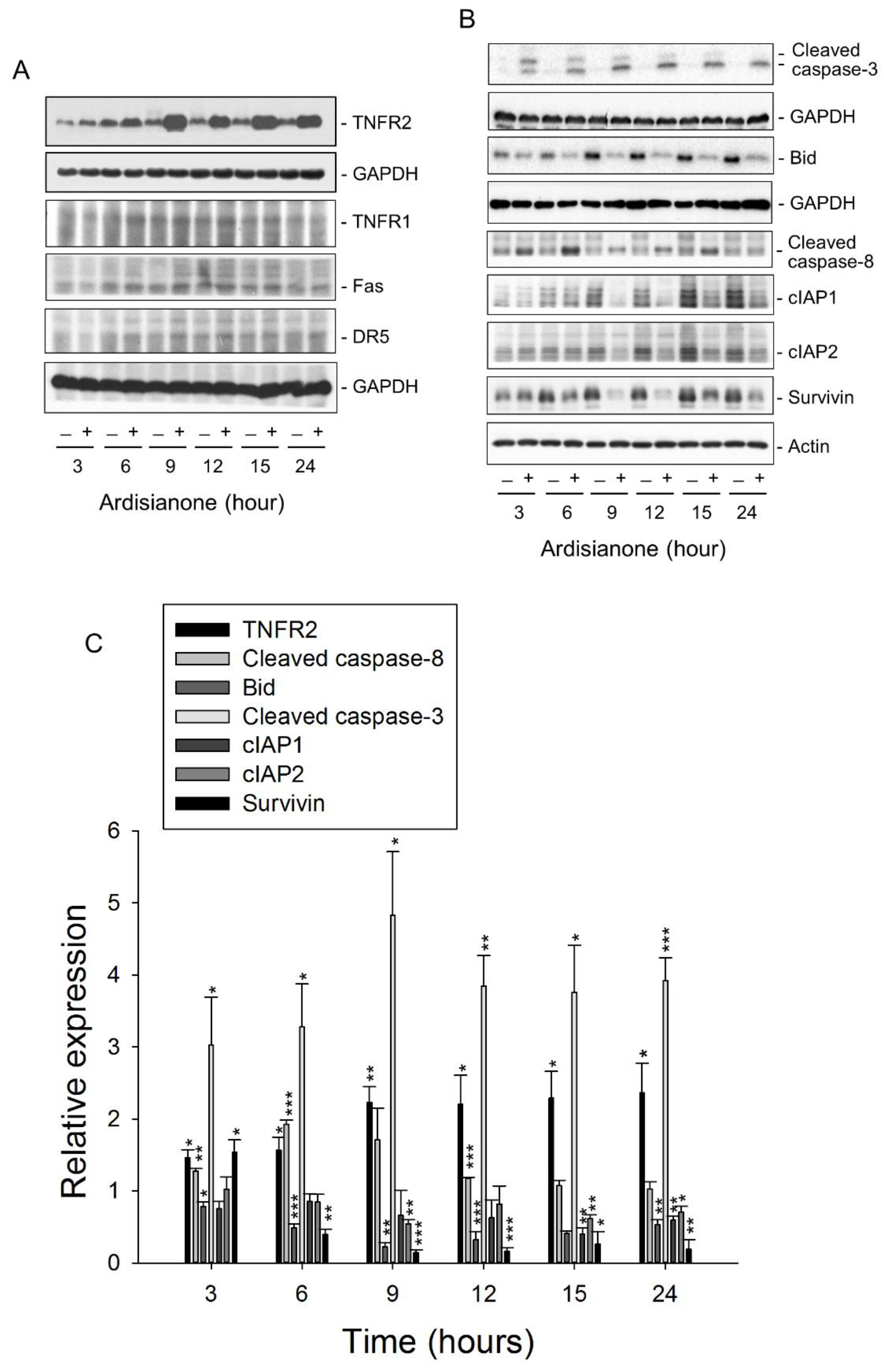 Ijms 22 11239 g003 Ijms 22 11239 g003