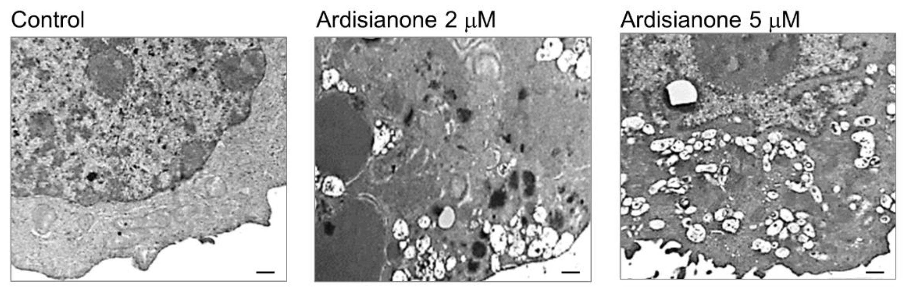 Ijms 22 11239 g005 Ijms 22 11239 g005