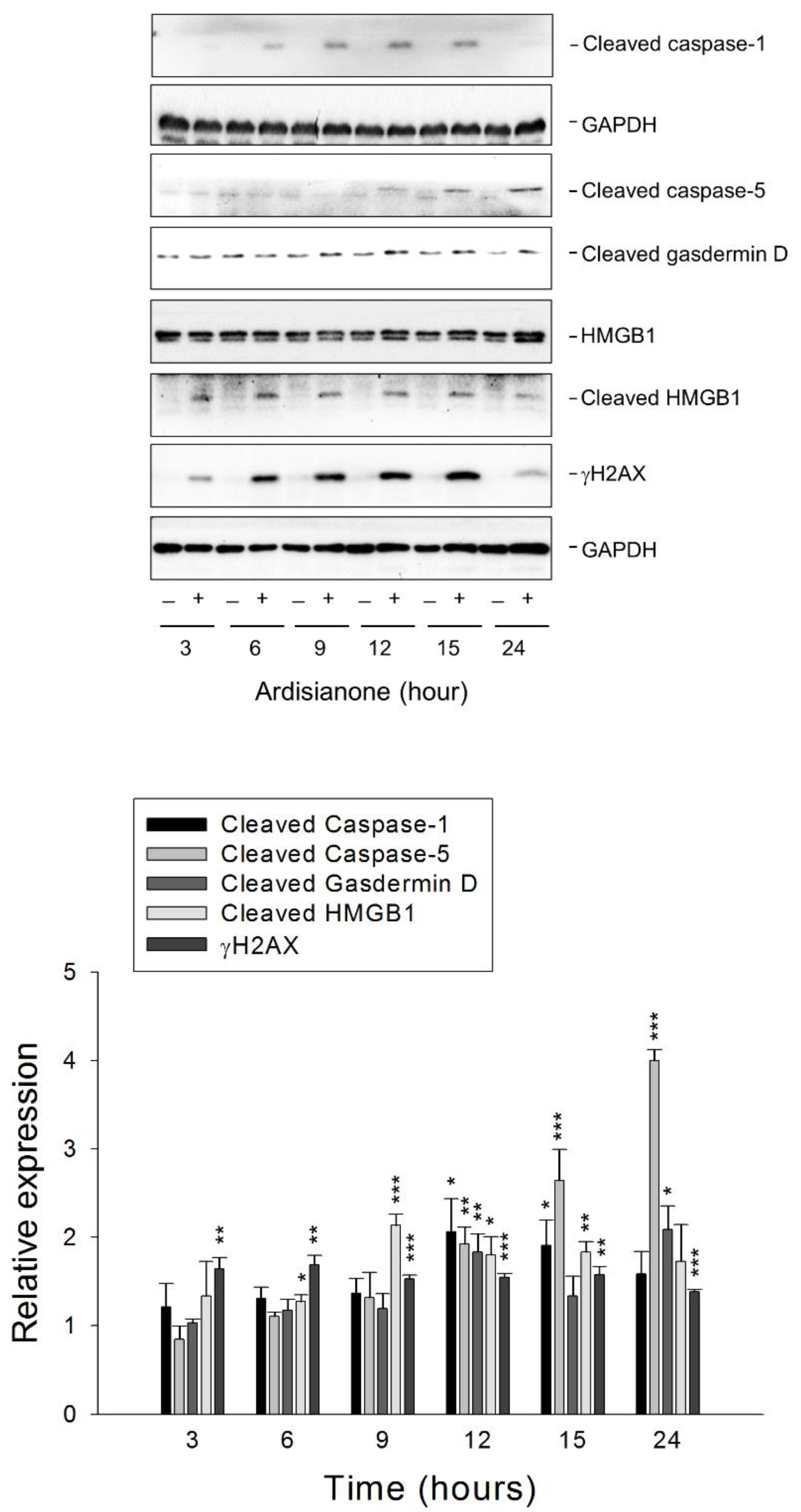 Ijms 22 11239 g006 Ijms 22 11239 g006