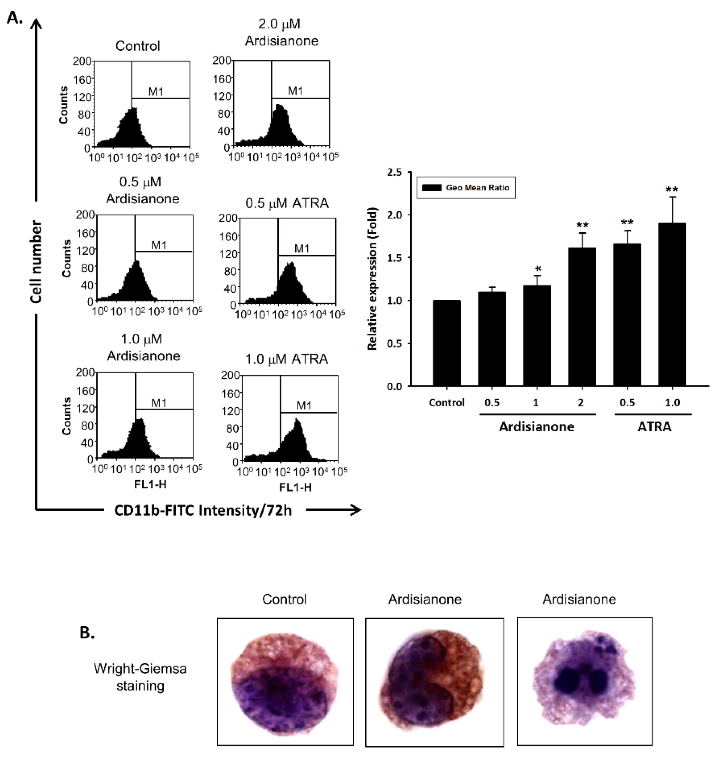 Ijms 22 11239 g007 Ijms 22 11239 g007