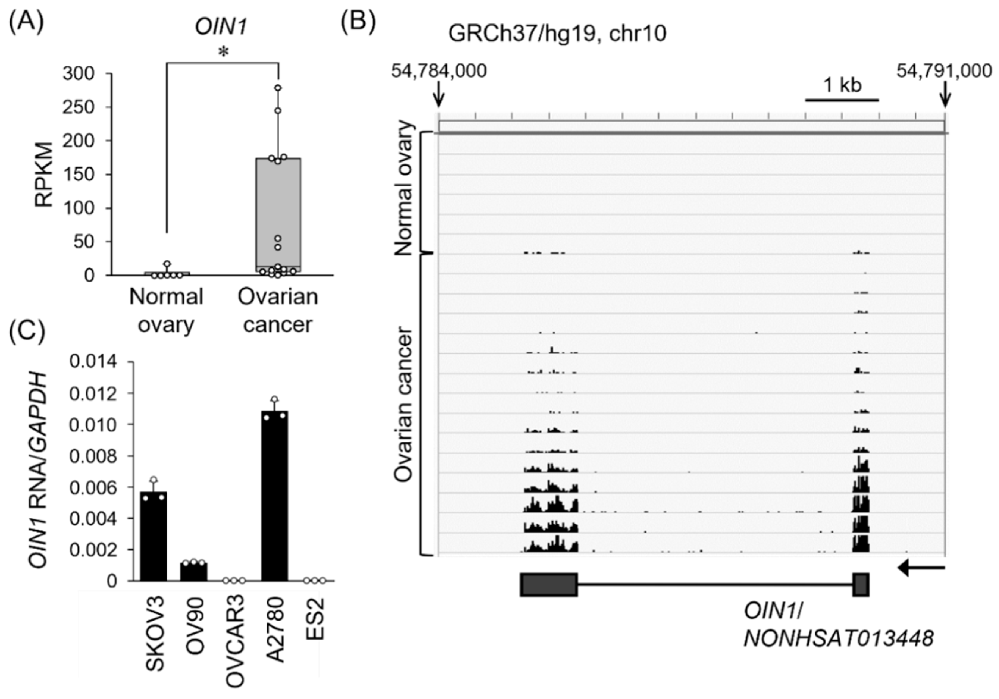 Ijms 22 11242 g001 550