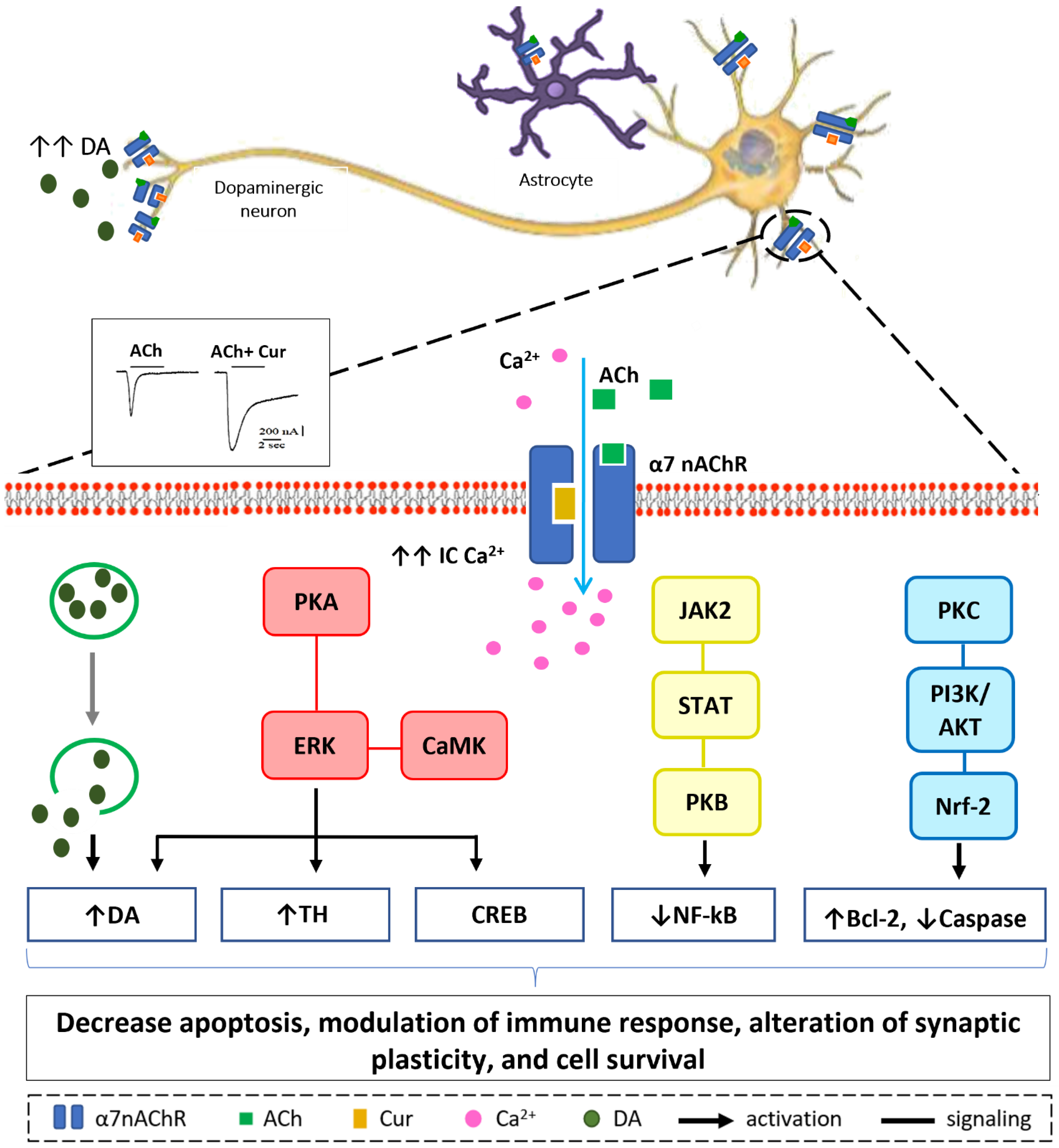 Ijms 22 11248 g004 550