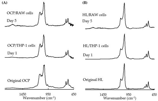 Macrophage Polarization Related to Crystal Phases of Calcium Macrophage Polarization Related to Crystal Phases of Calcium