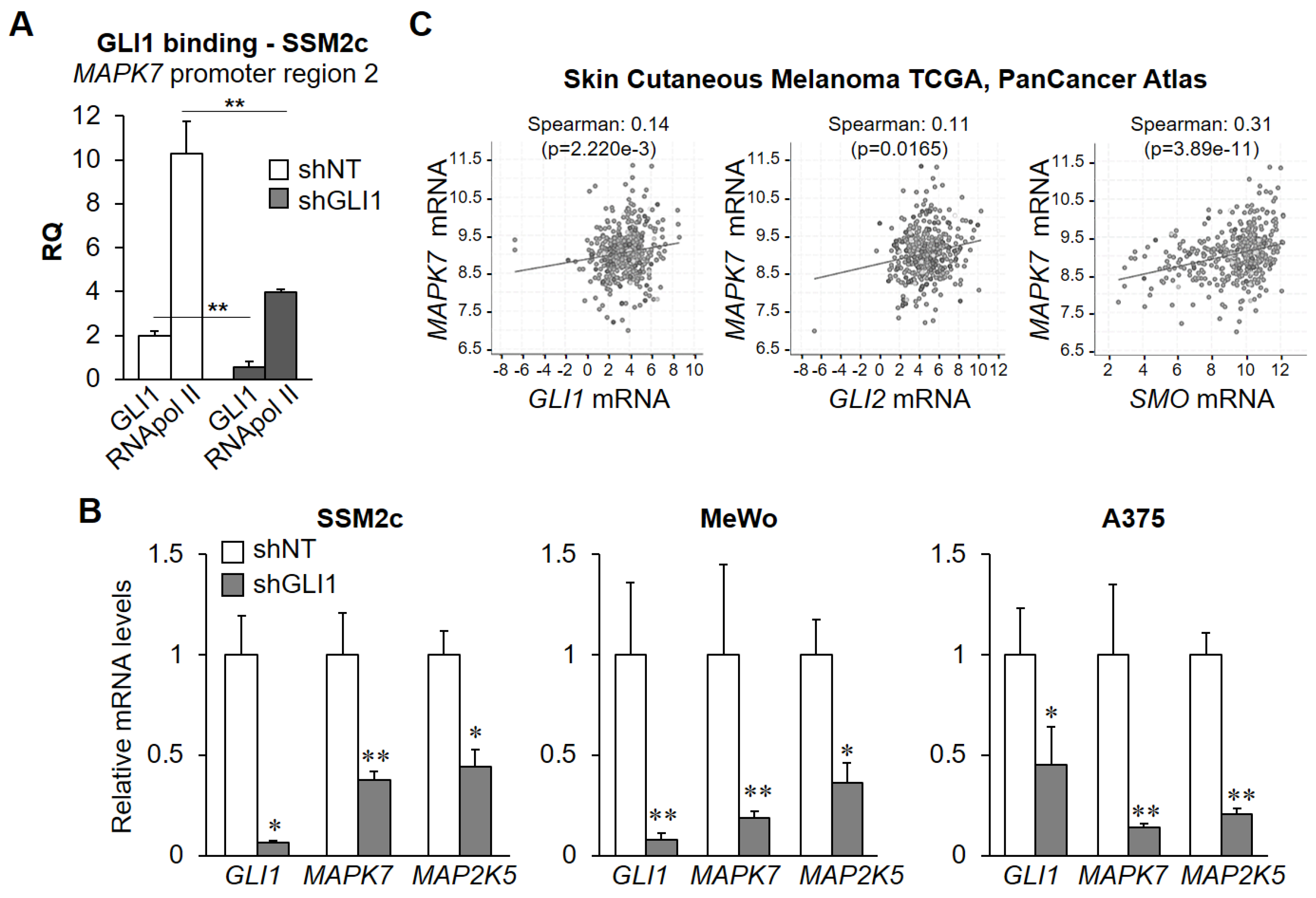 Ijms 22 11259 g003 550