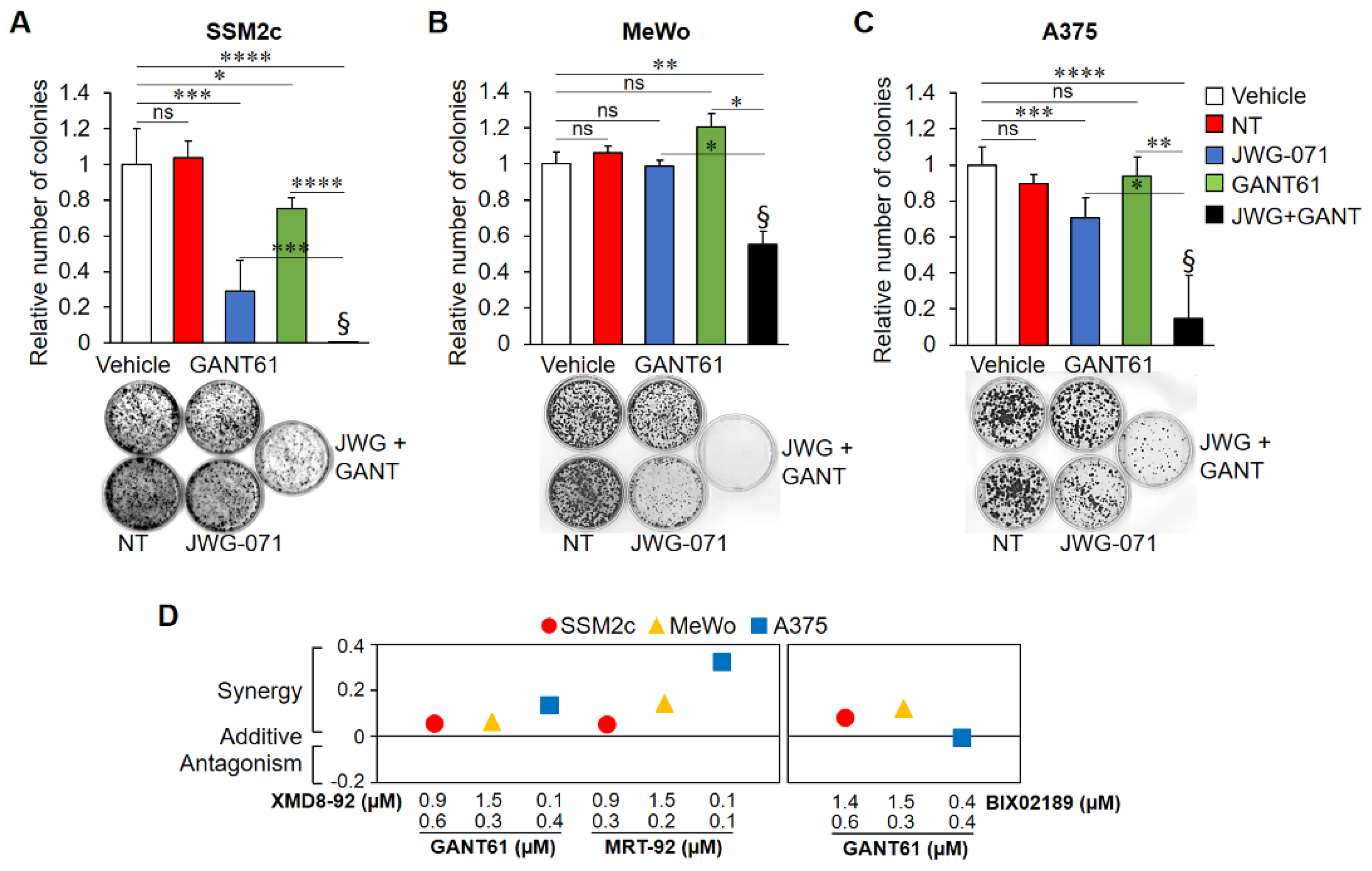 The Hedgehog-GLI Pathway Regulates MEK5-ERK5 Expression and