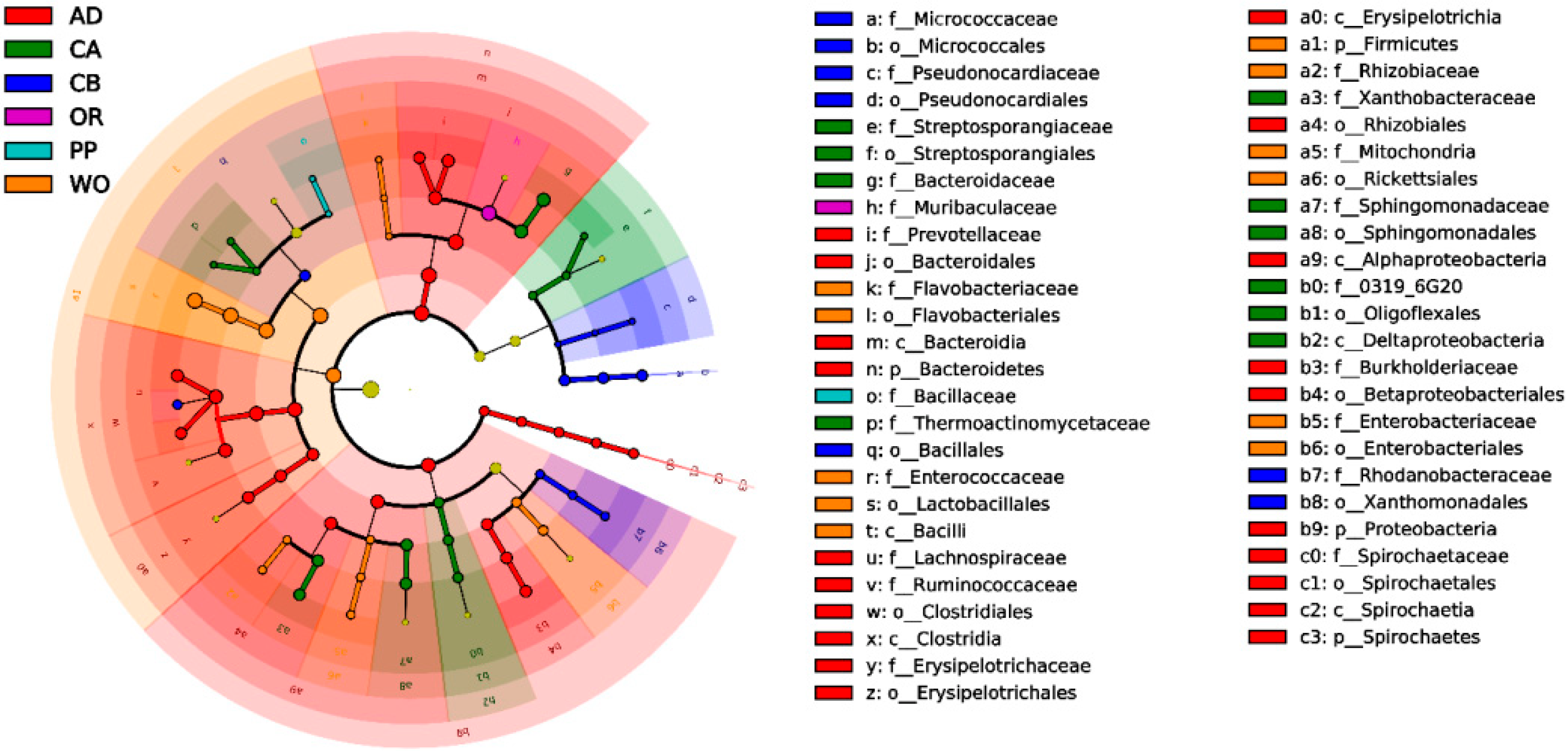 Ijms 22 11266 g006 550