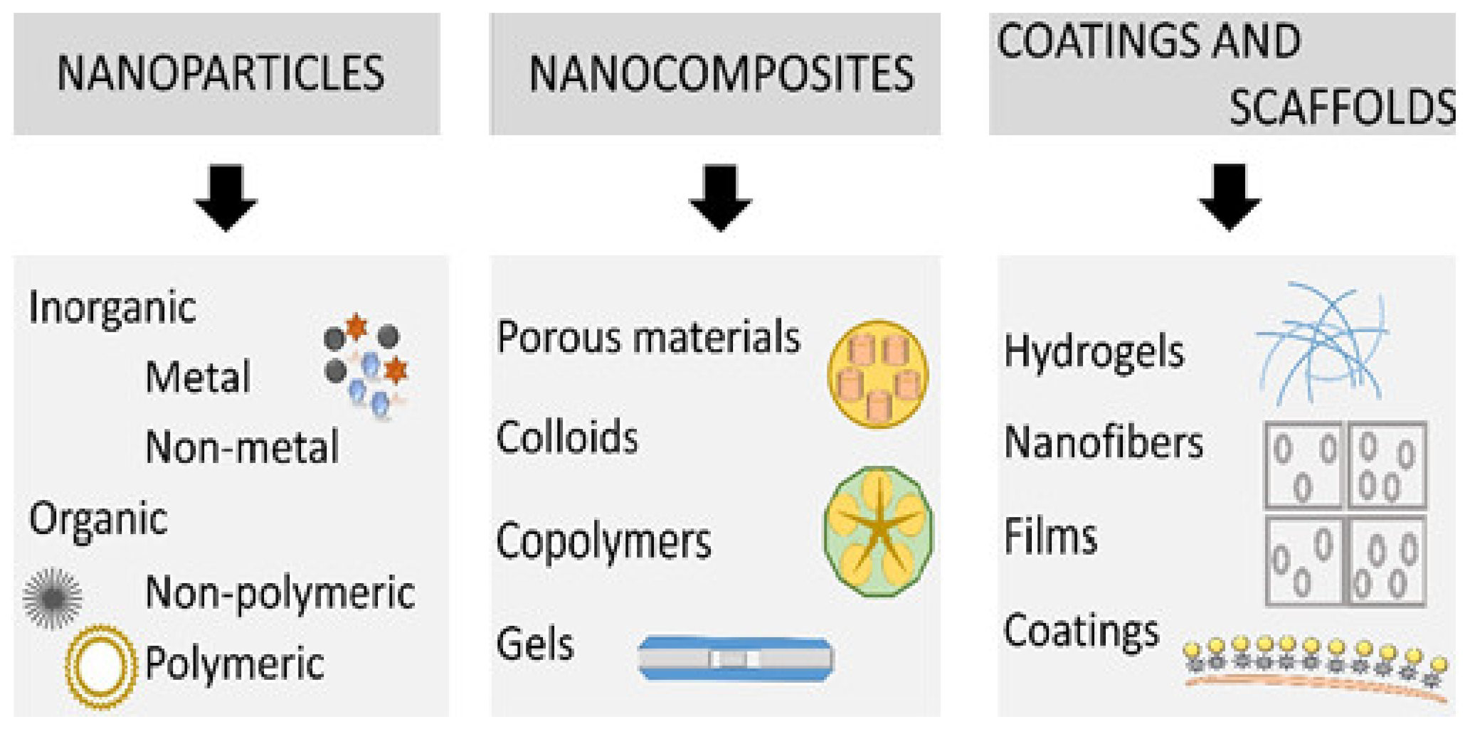 Ijms 22 11272 g004 550