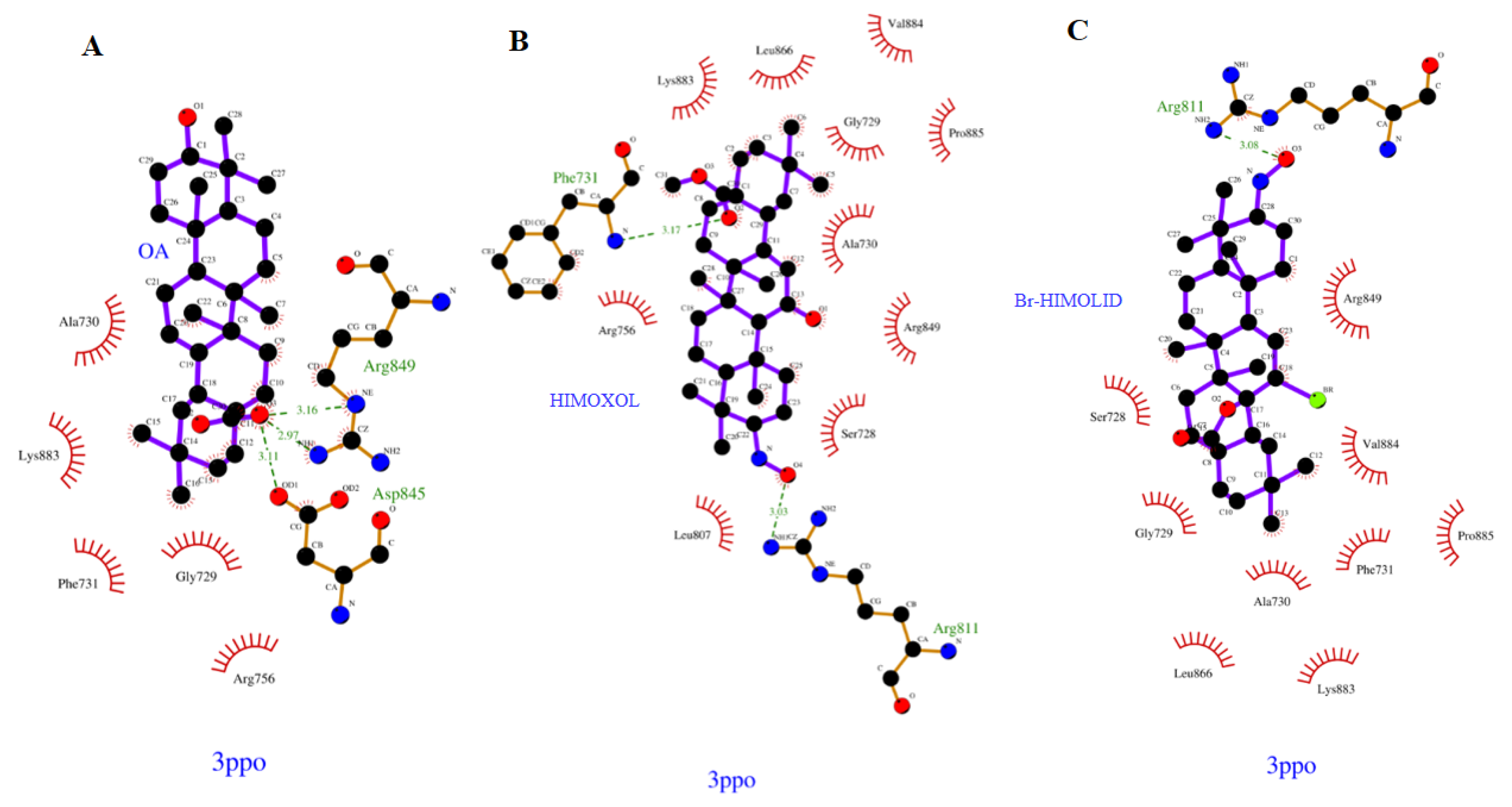 Ijms 22 11273 g001 Ijms 22 11273 g001