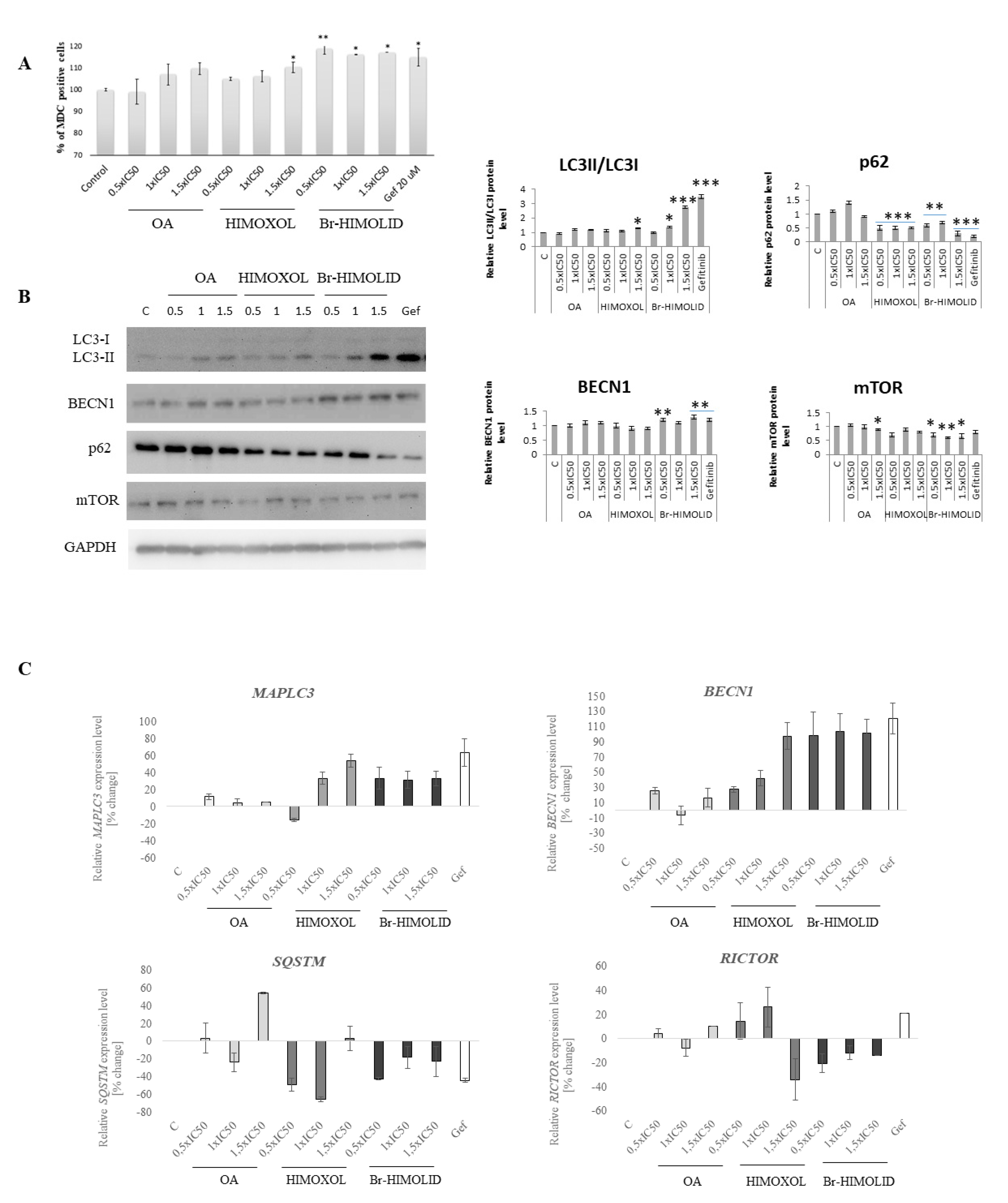 Ijms 22 11273 g006 Ijms 22 11273 g006