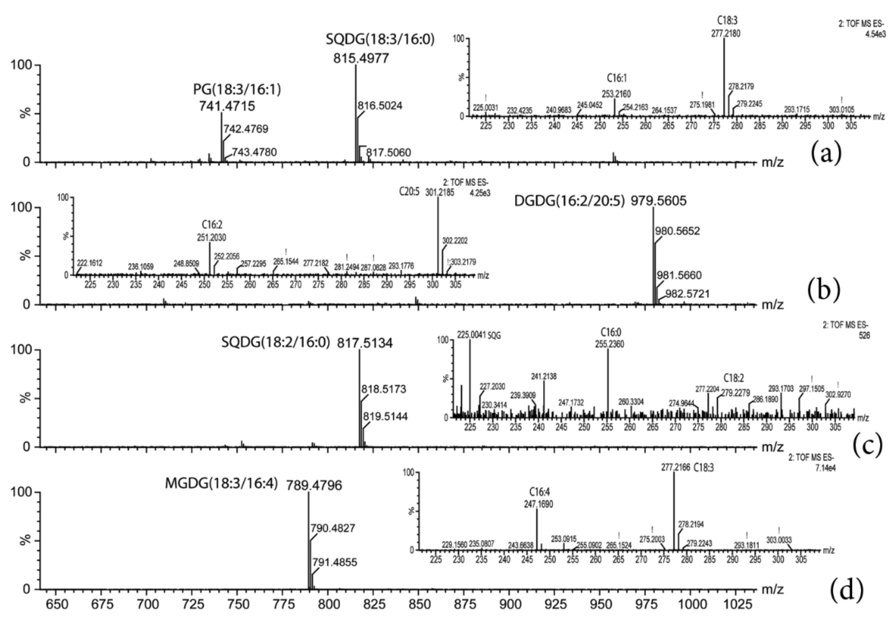 Ijms 22 11277 g002 550