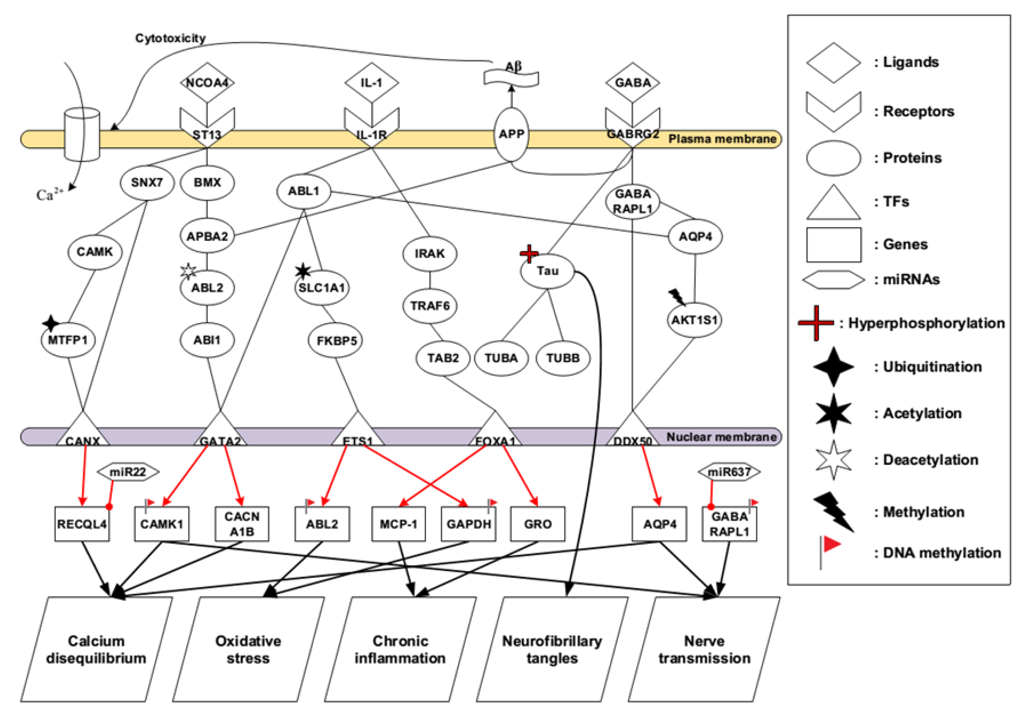 Ijms 22 11280 g003 550