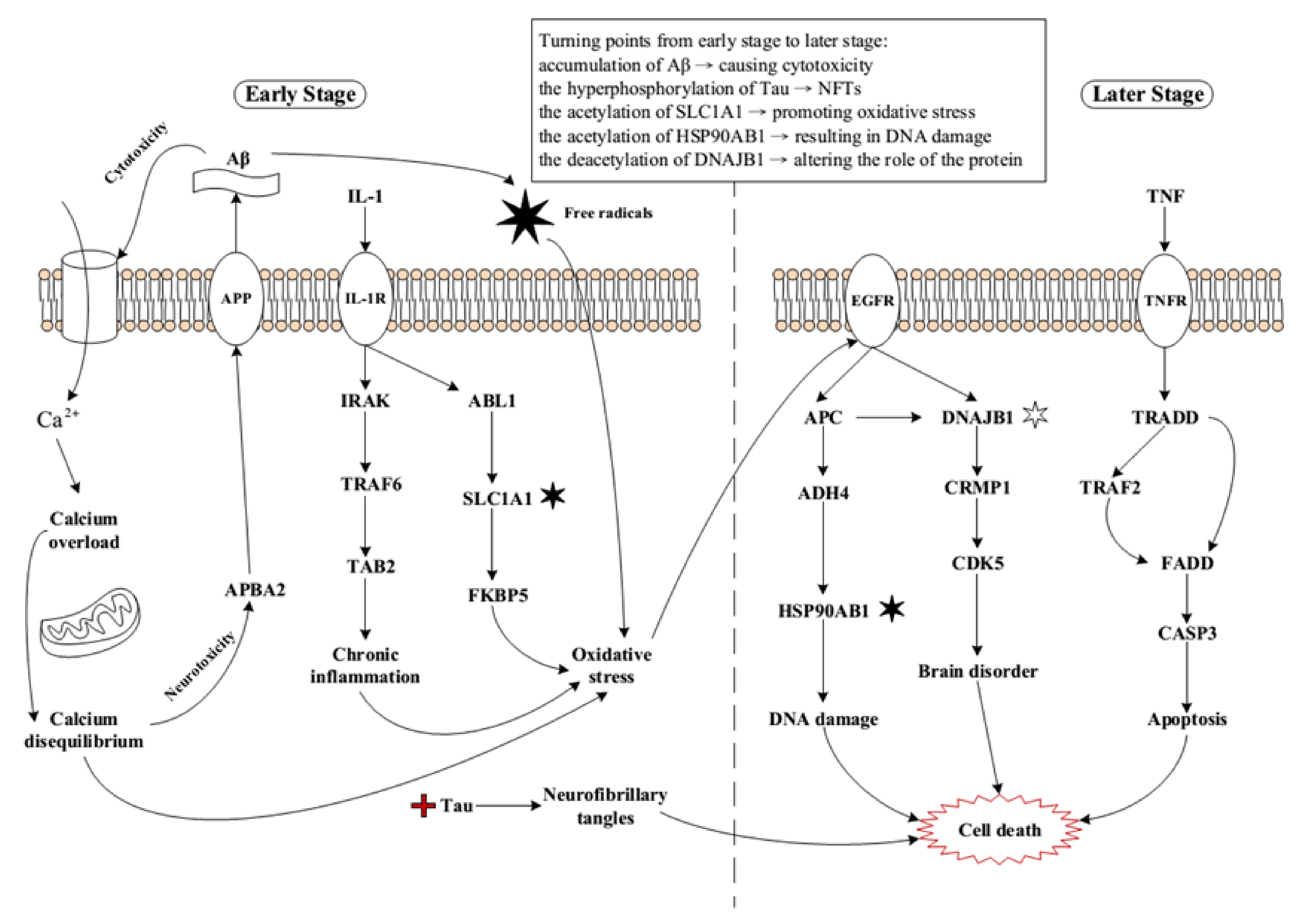 Ijms 22 11280 g005 550