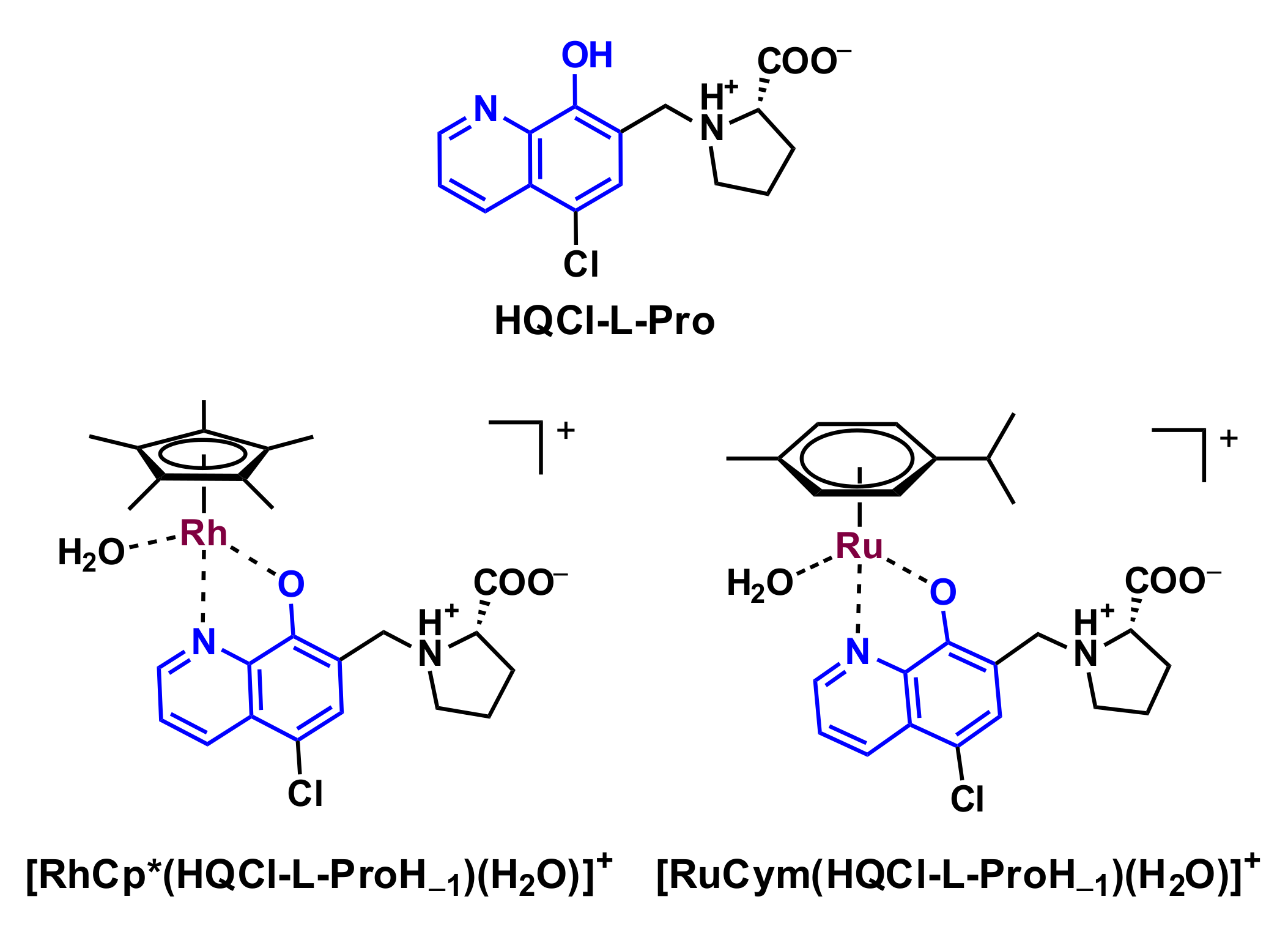 Ijms 22 11281 sch001 550