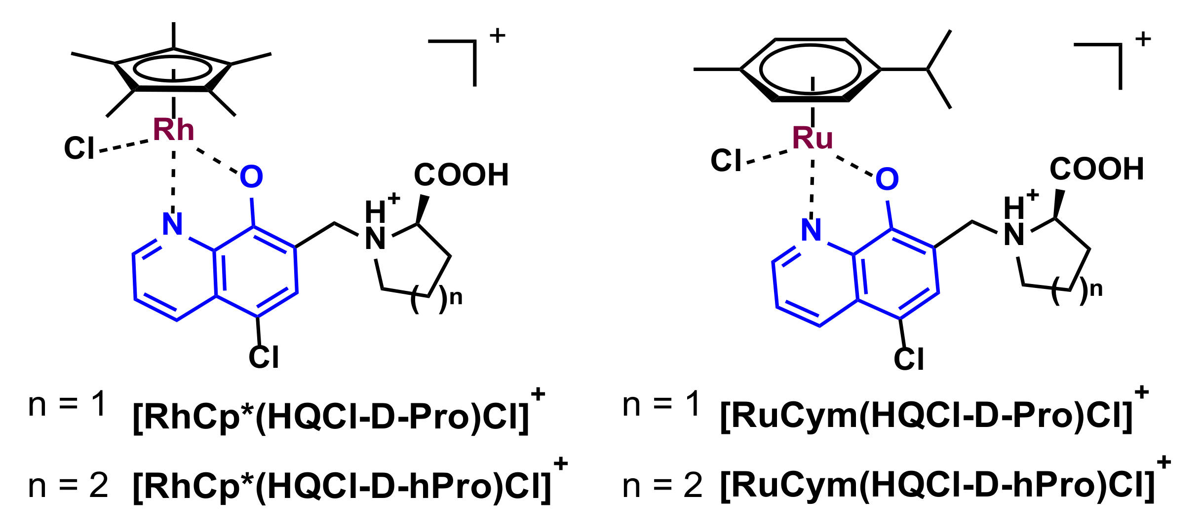 Ijms 22 11281 sch003 550