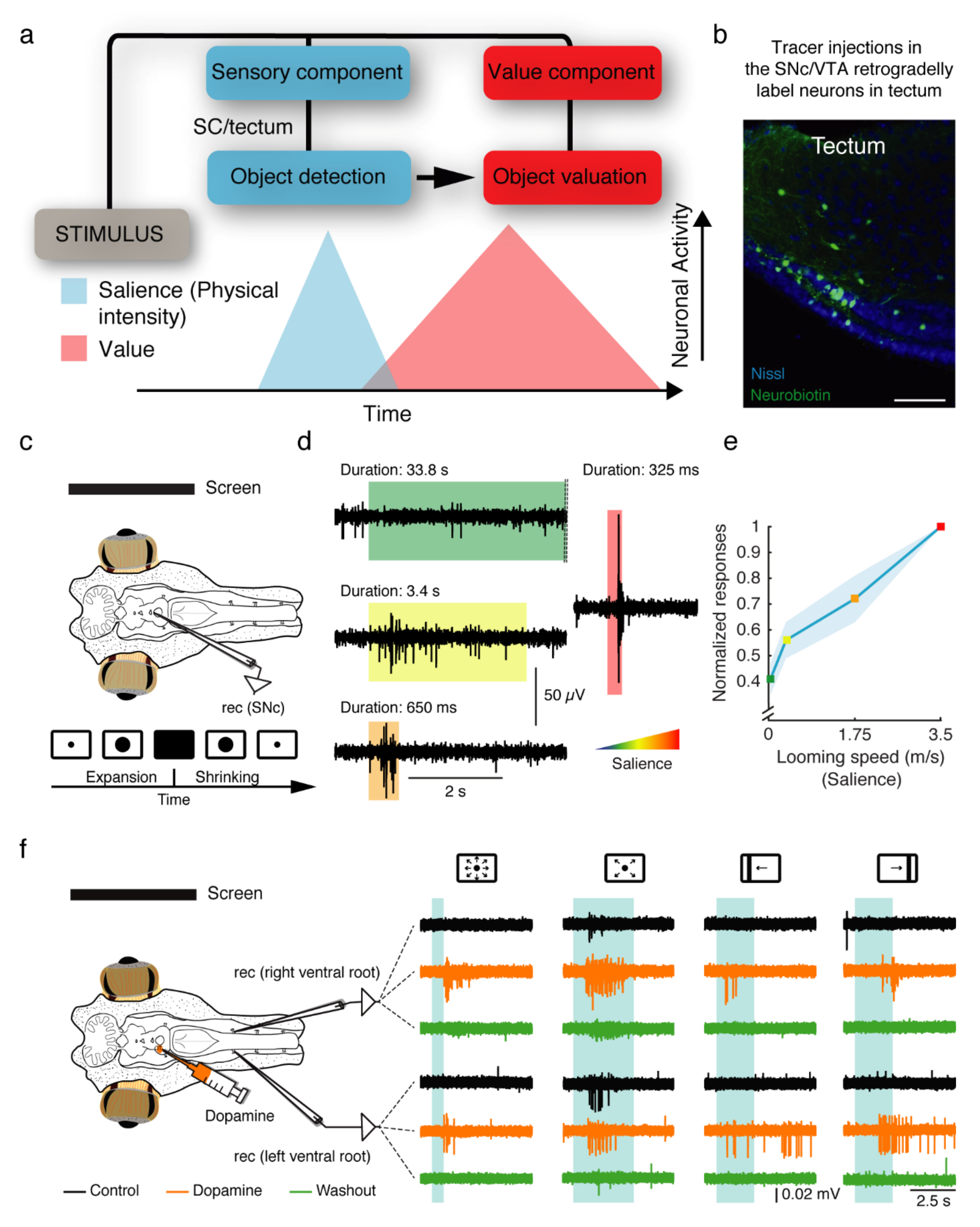 Ijms 22 11284 g003 550