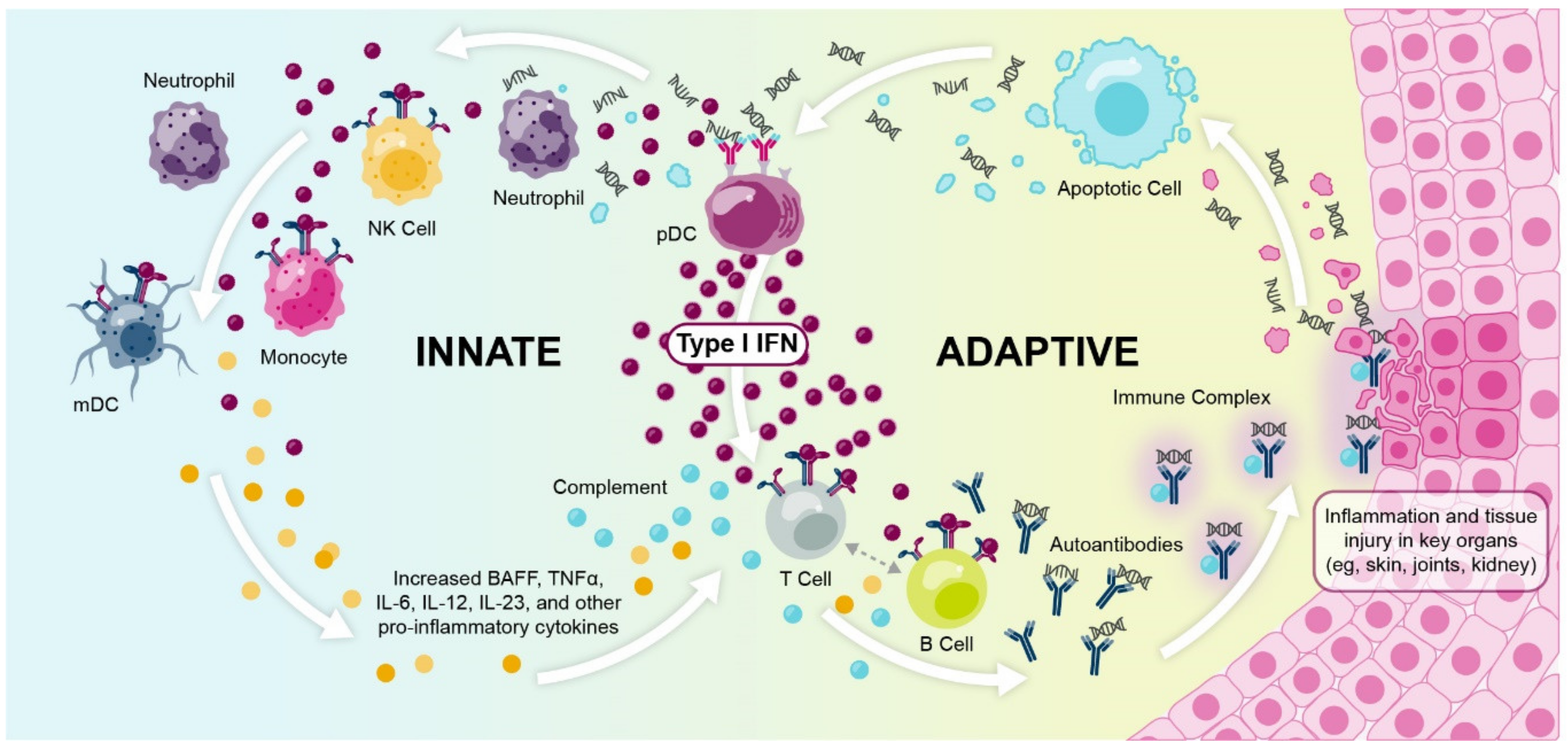 Ijms 22 11286 g002 550