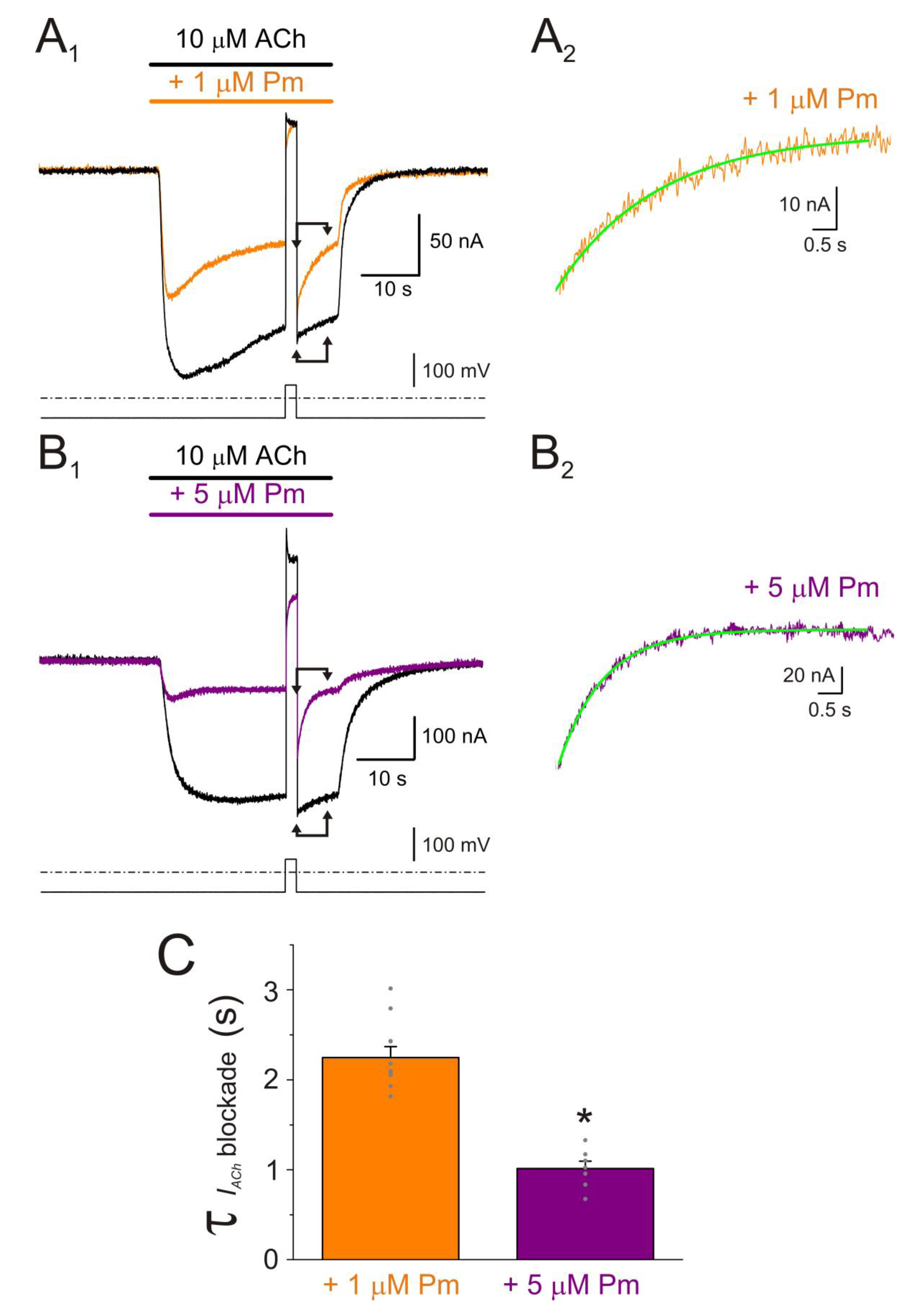 Ijms 22 11287 g007 550