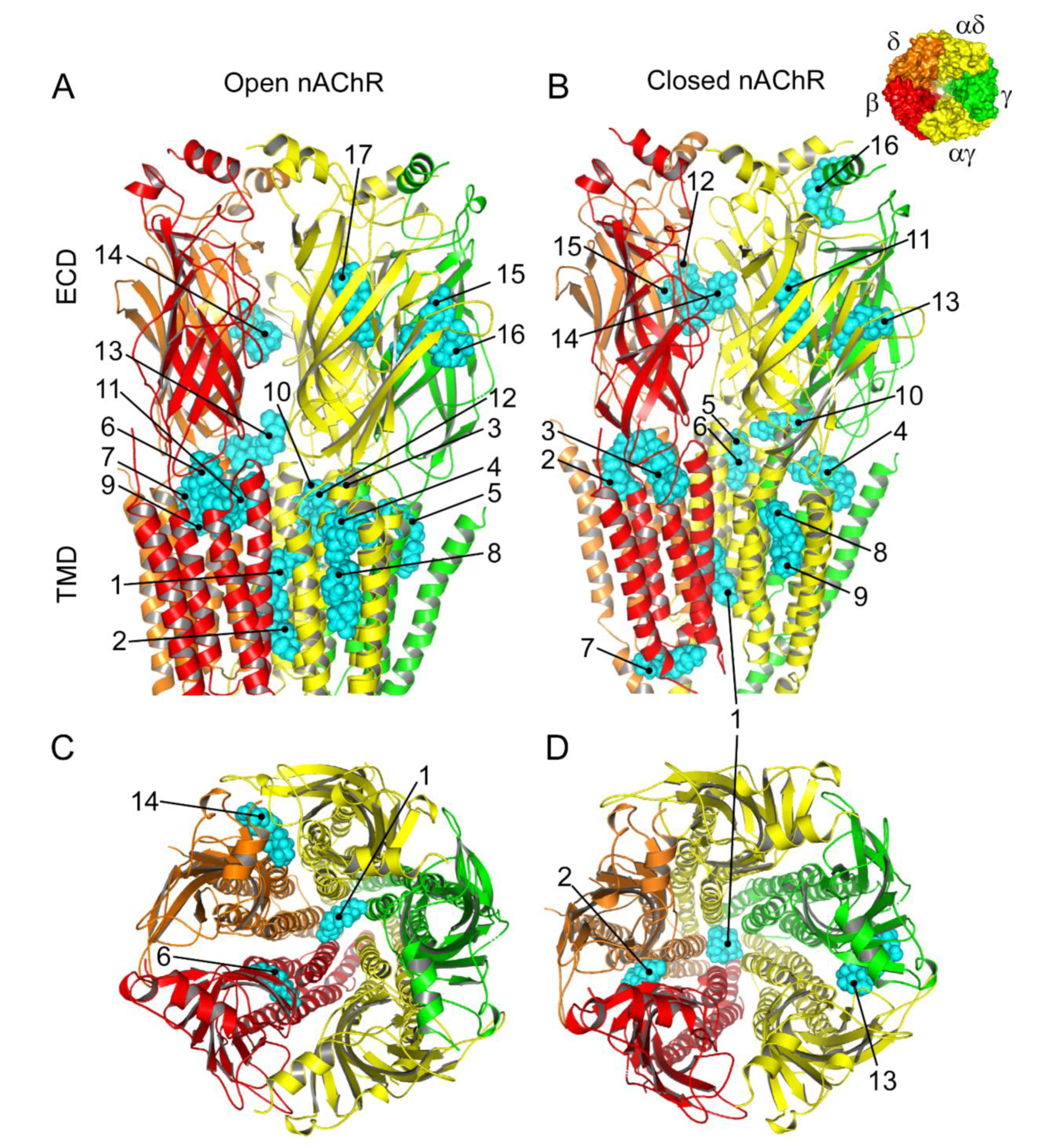 Ijms 22 11287 g009 550