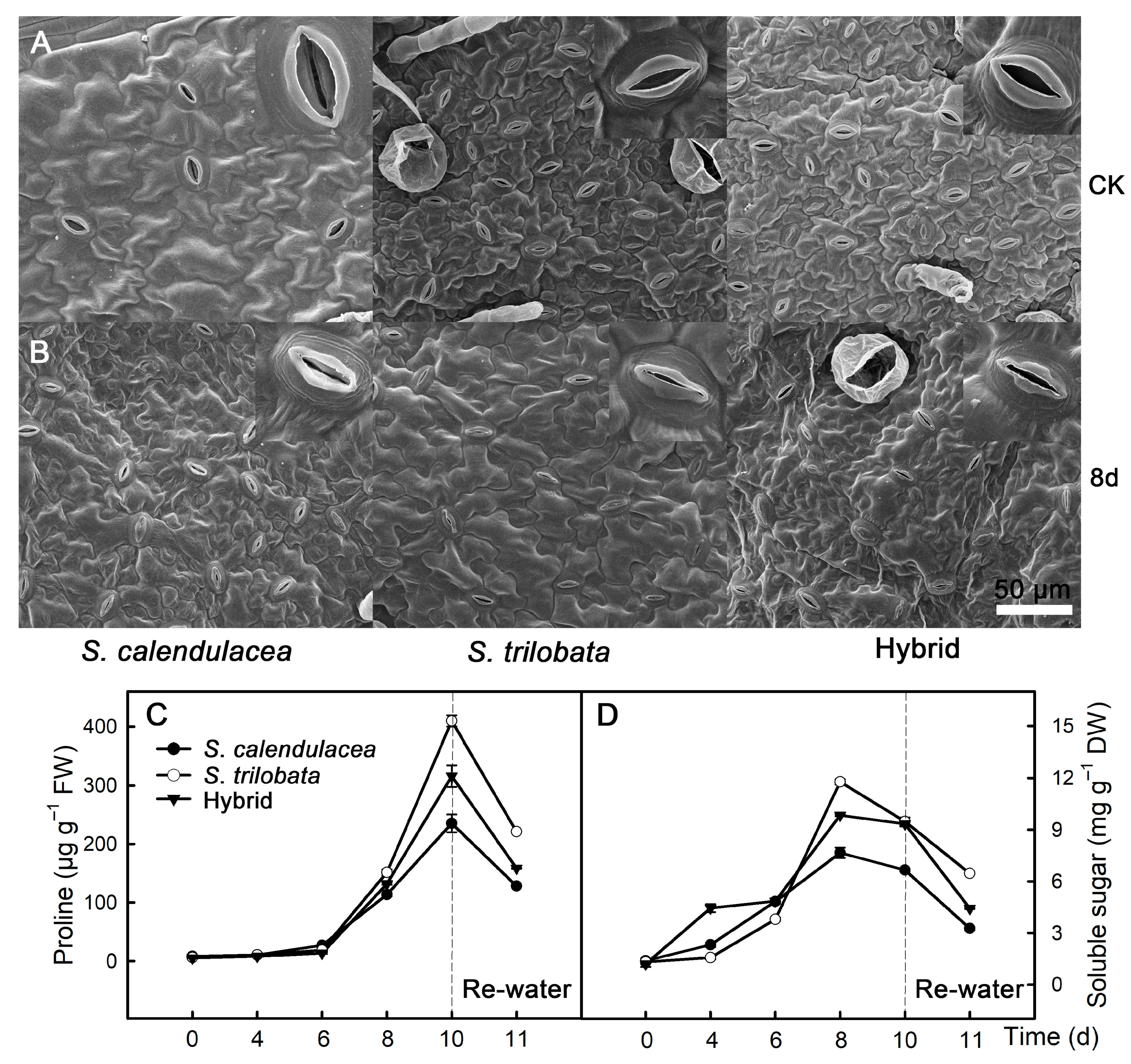 Ijms 22 11288 g002 550